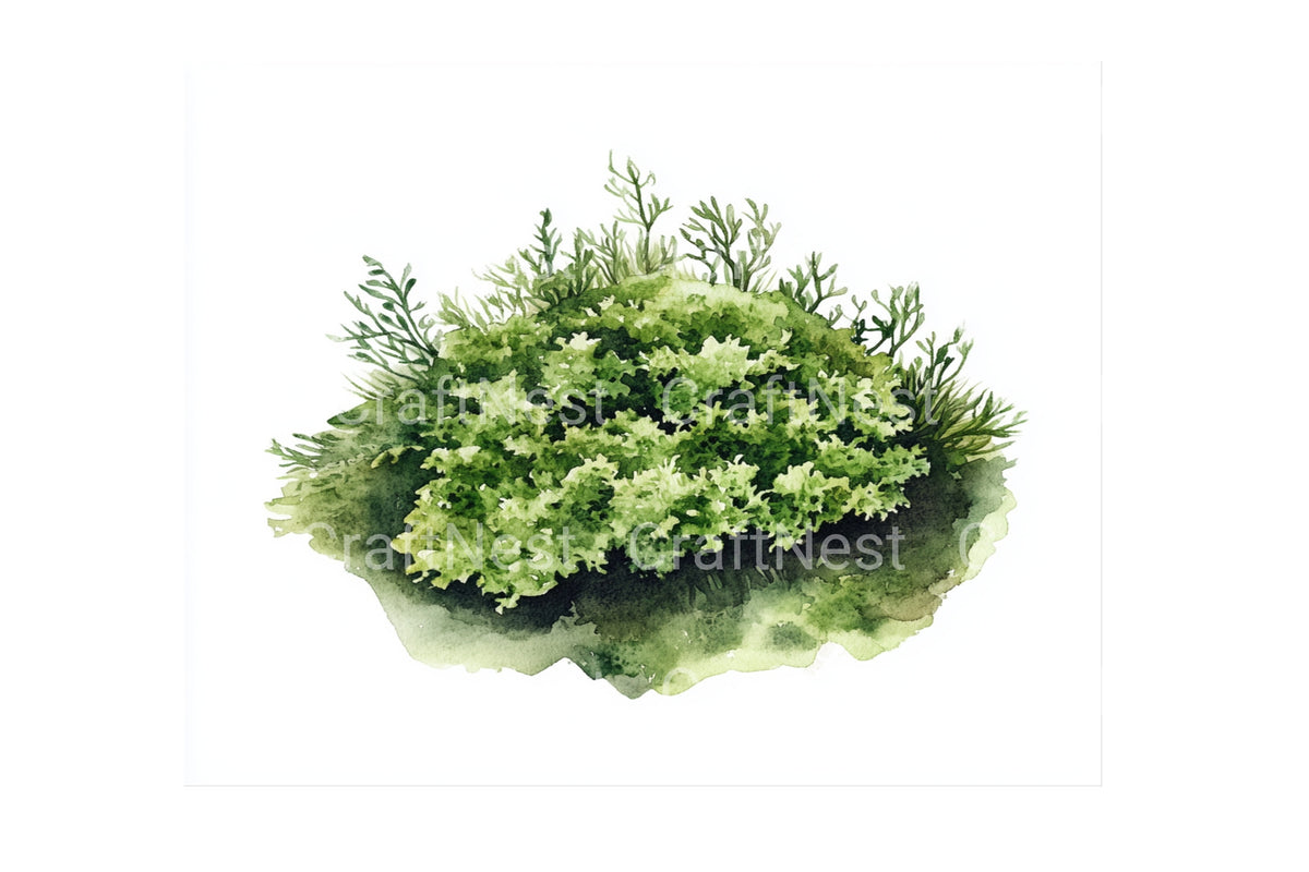 Lush Green Moss And Grass Clipart Bundle