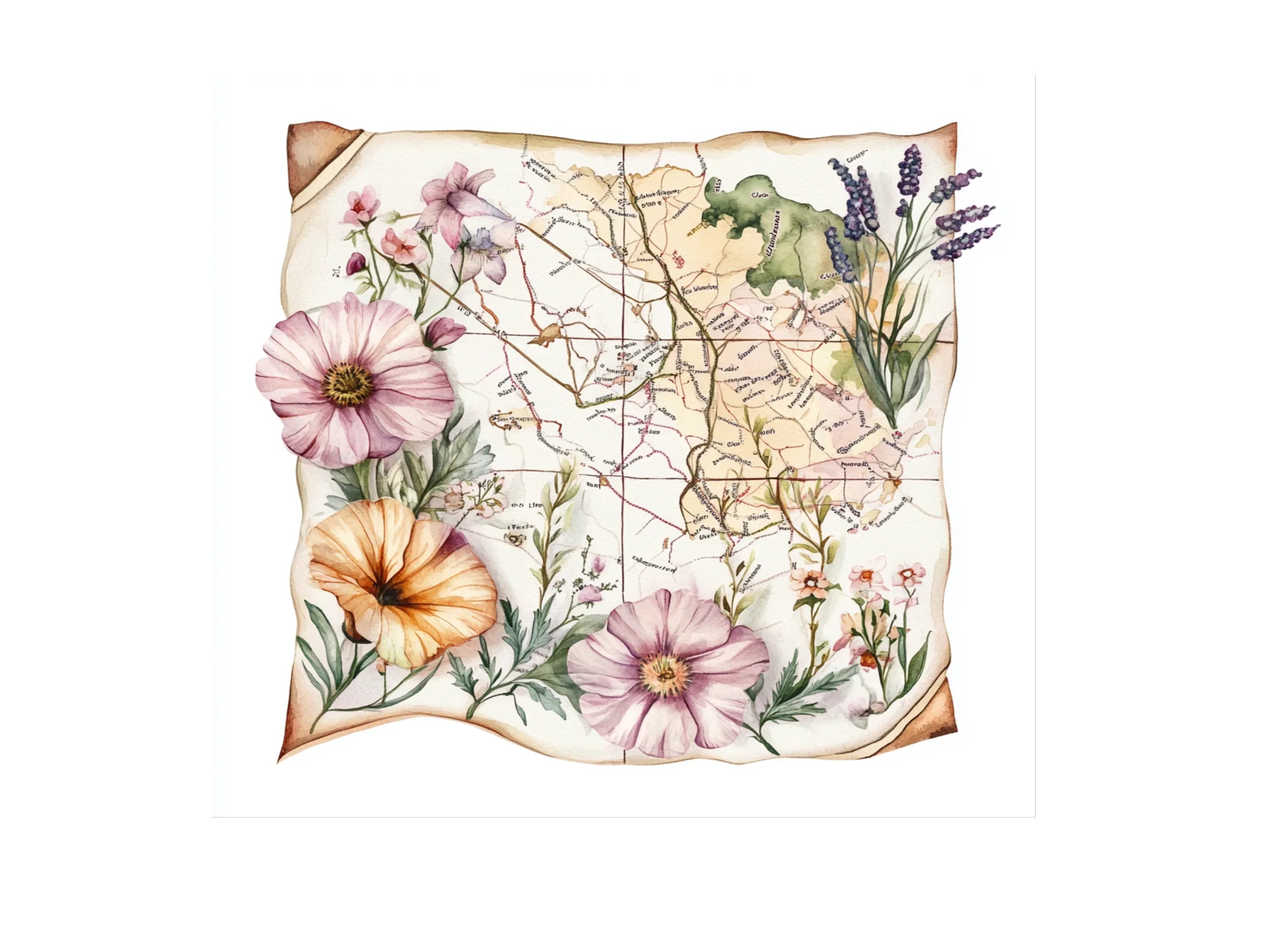 Vintage Floral World Map Clipart Bundle