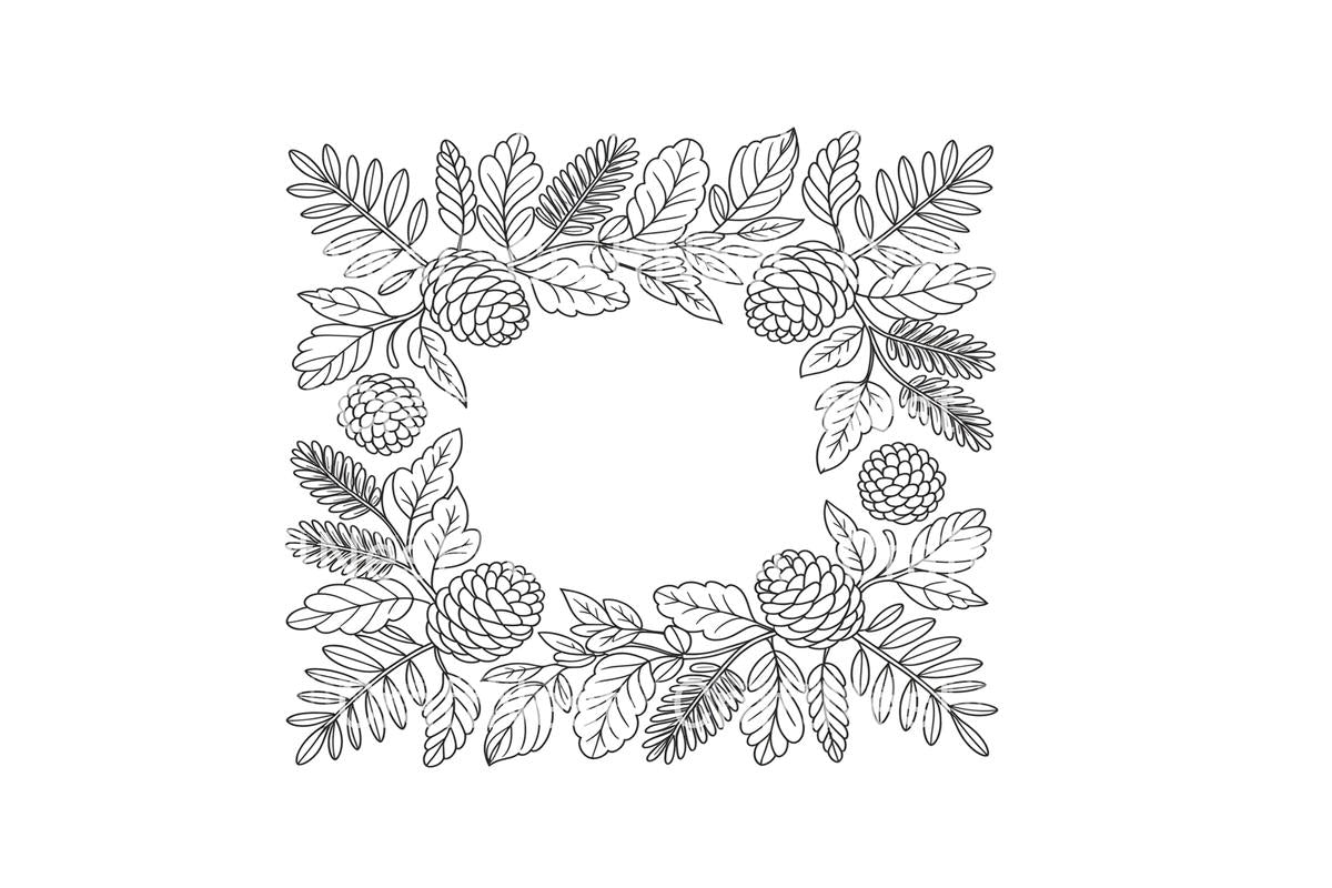 Pine Cone Leaf Frame Coloring Books