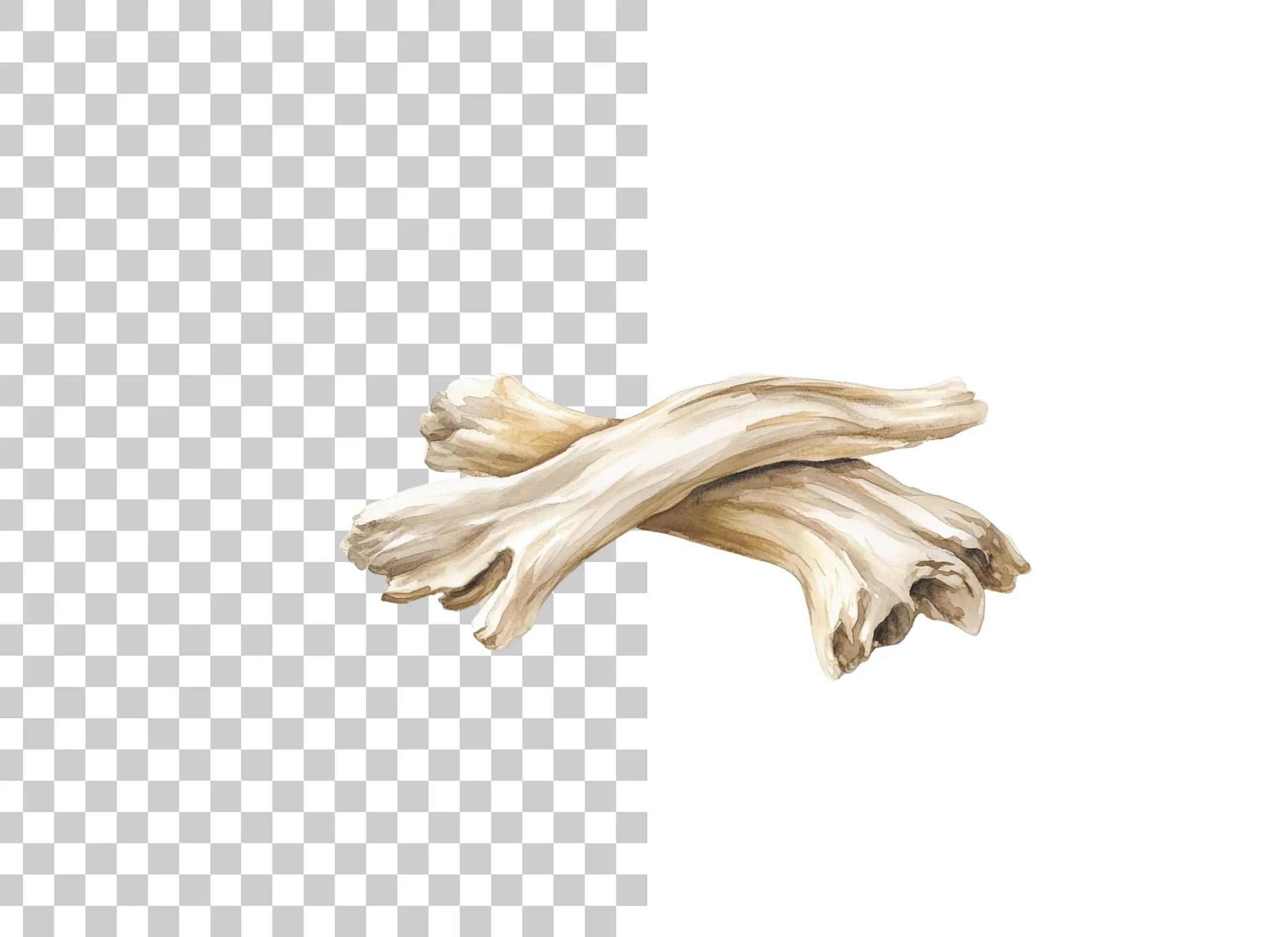 White Washed Driftwood Clipart Bundle