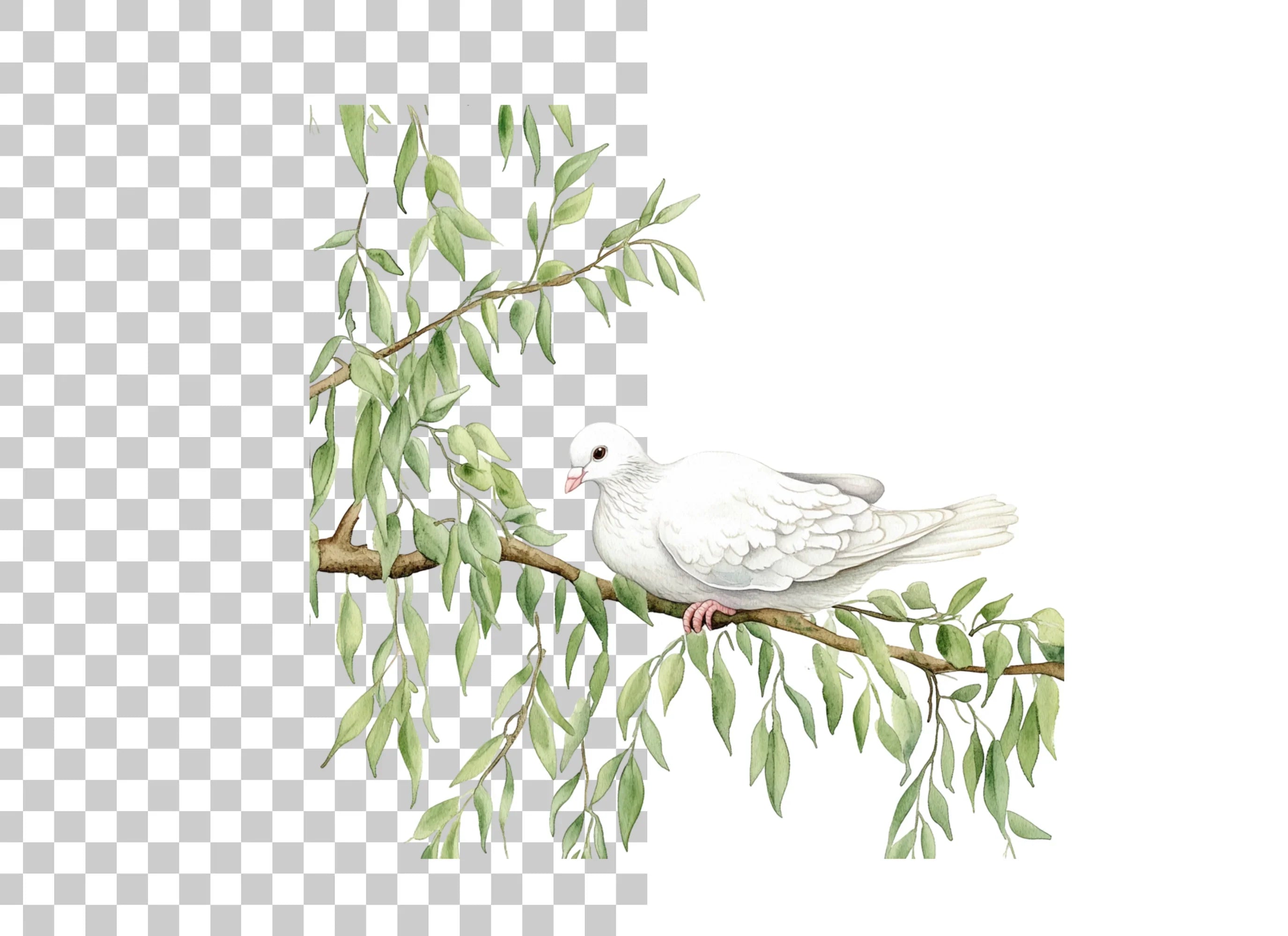 White Doves on Branches Clipart Bundle