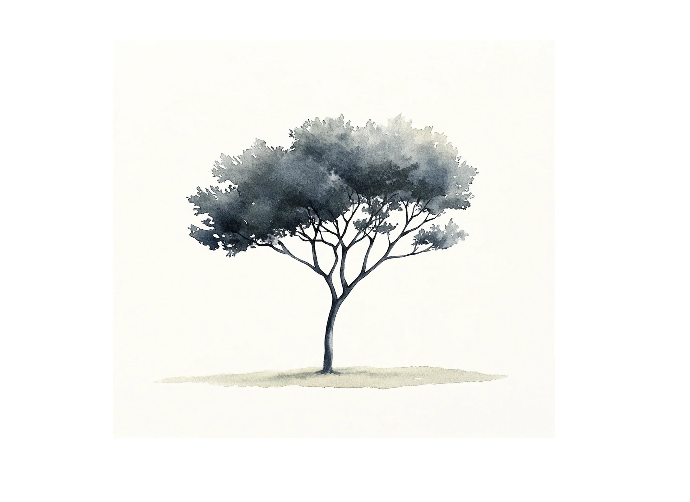 Tree Silhouettes Clipart Bundle