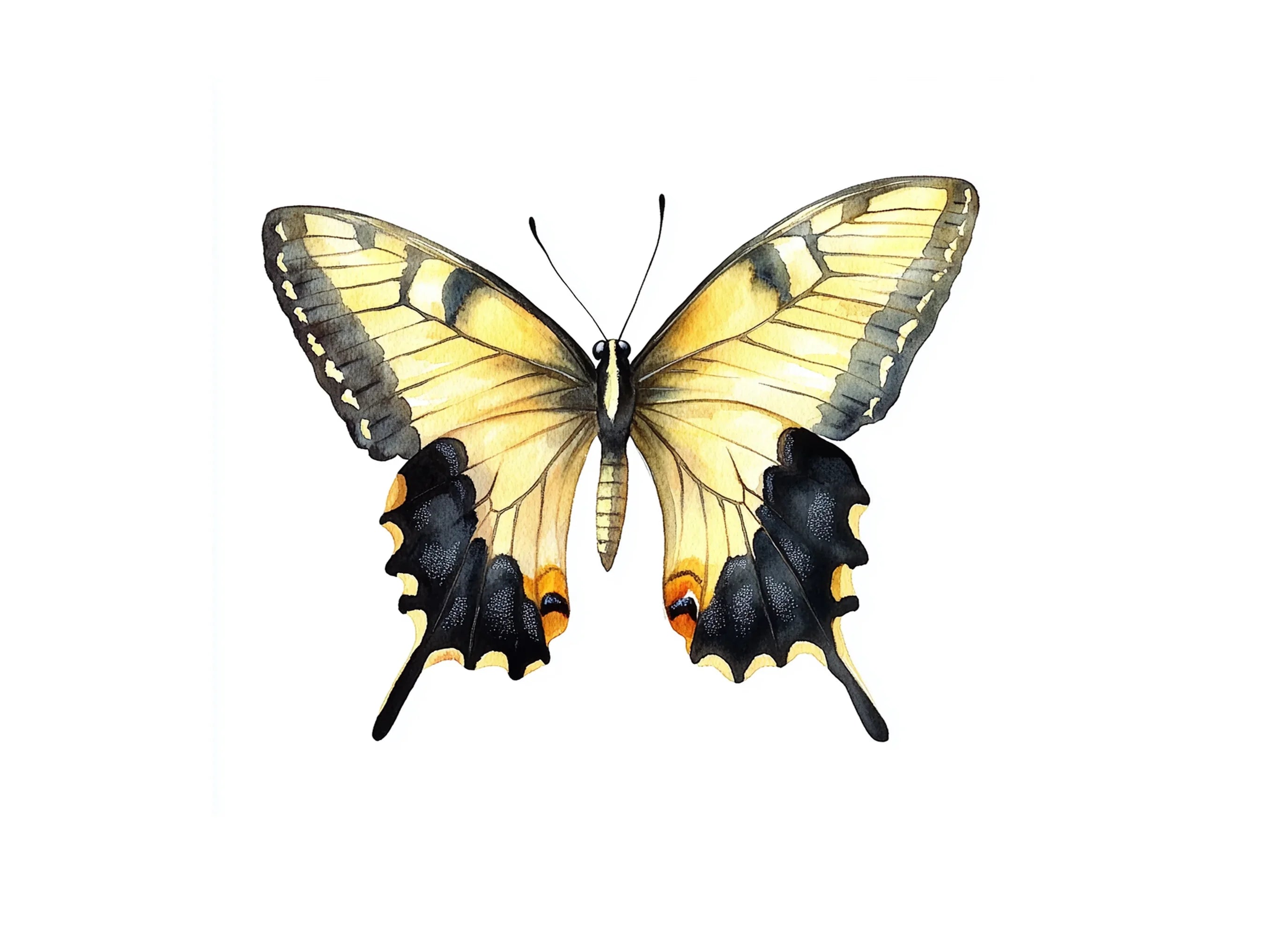 Yellow Swallowtail Butterflies Clipart Bundle