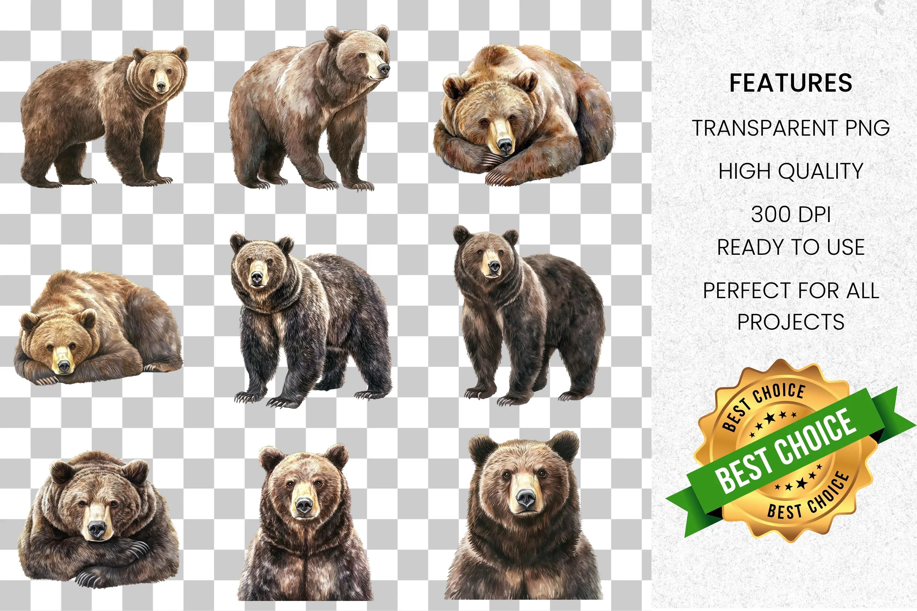 Brown Bear Clipart Bundle