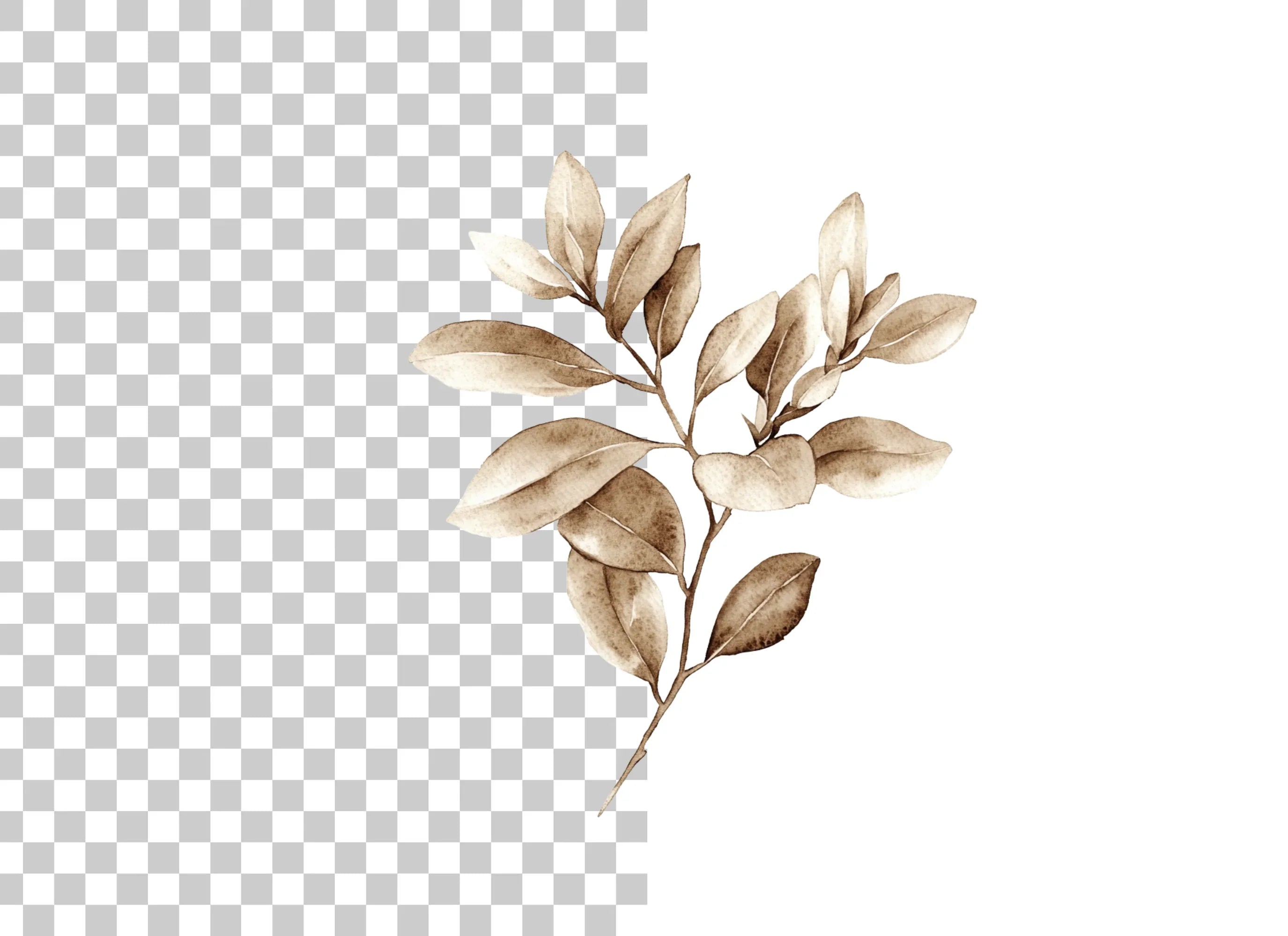 Sepia Leaf Branch Clipart Bundle