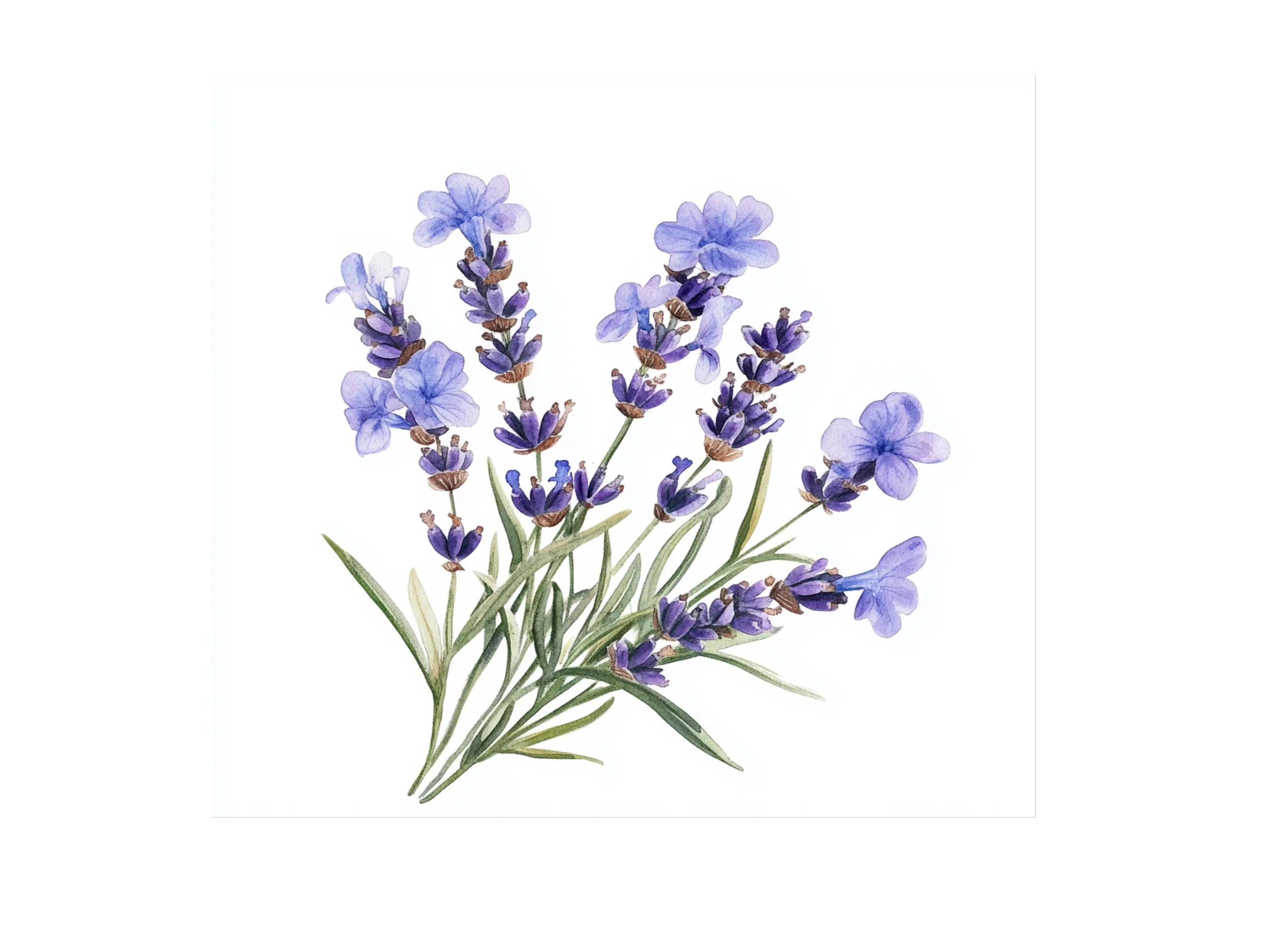 Blue Lavender Floral Clipart Bundle