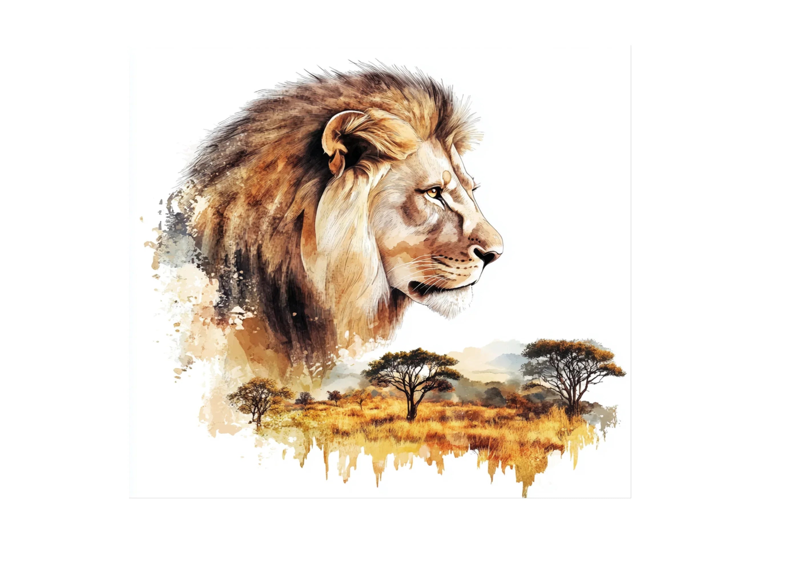 Lion and Acacia Tree Clipart Bundle