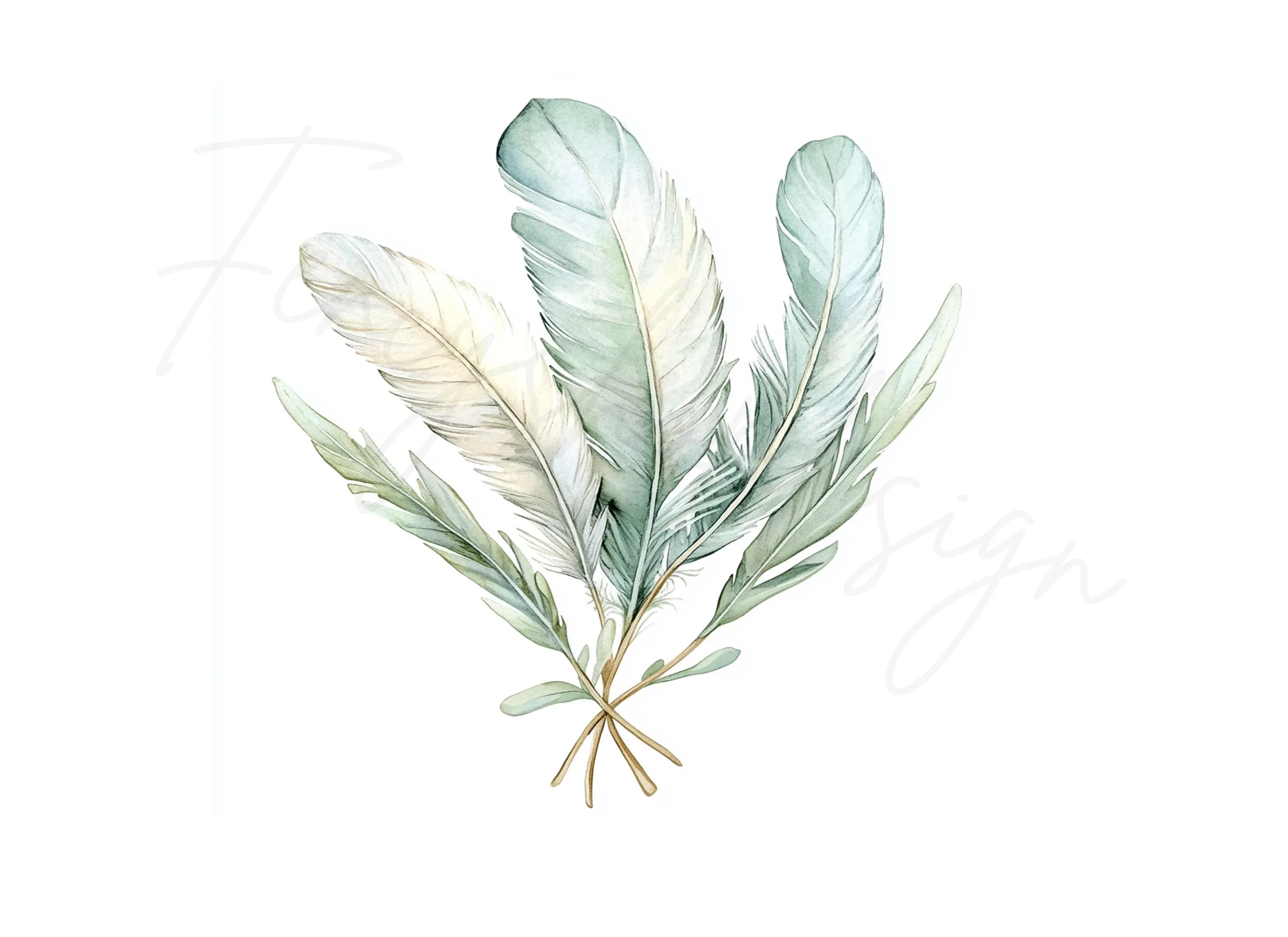 Feathers Greenery Clipart Bundle