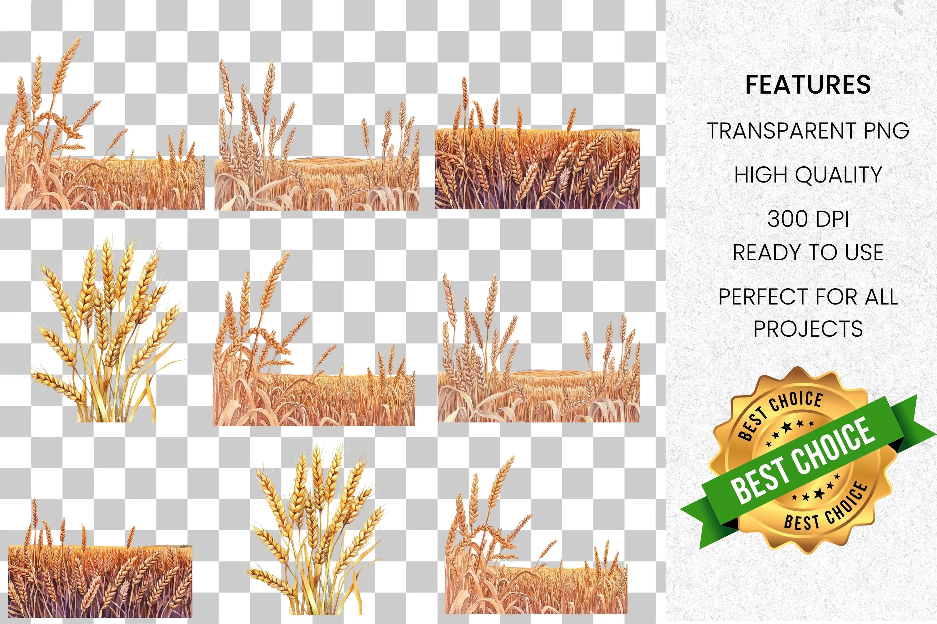 Golden Wheat Stalks Field Clipart Bundle