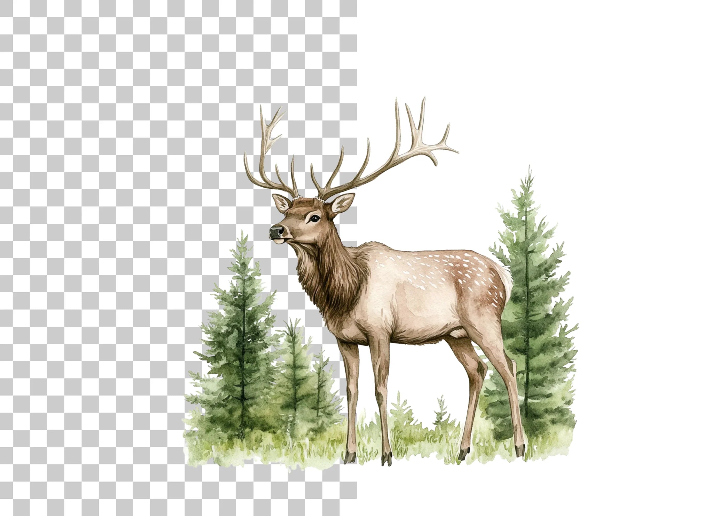Majestic Elk in Forest Clipart Bundle