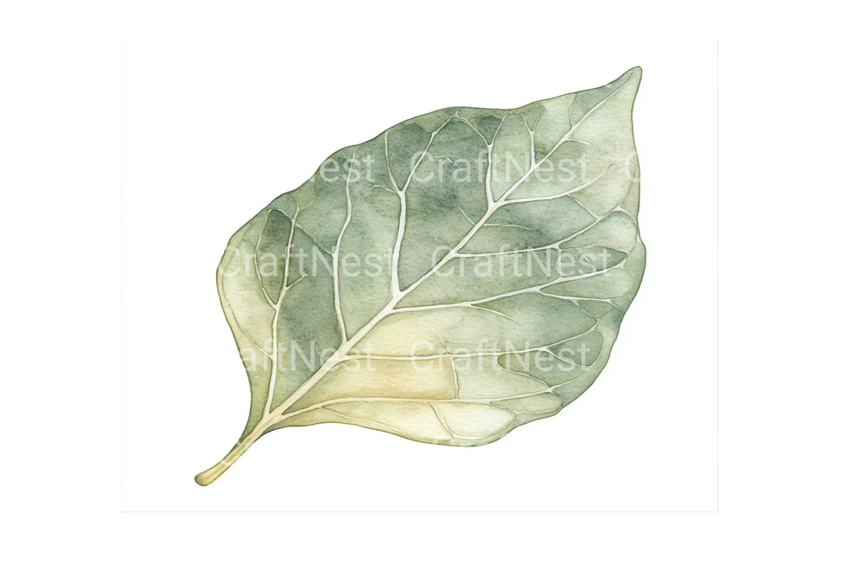 Autumn Leaves Clipart Bundle