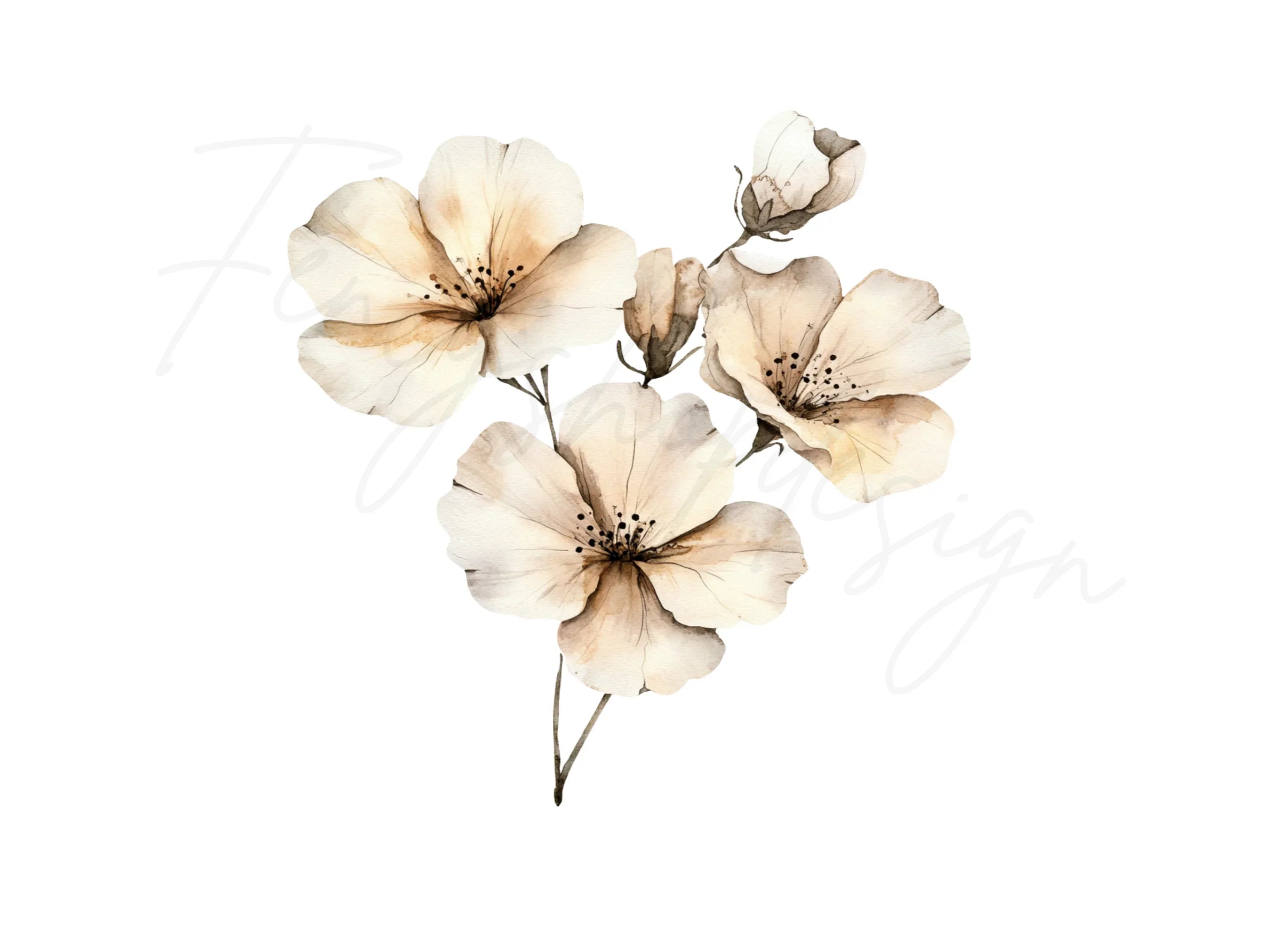 Elegant White Floral Clipart Bundle