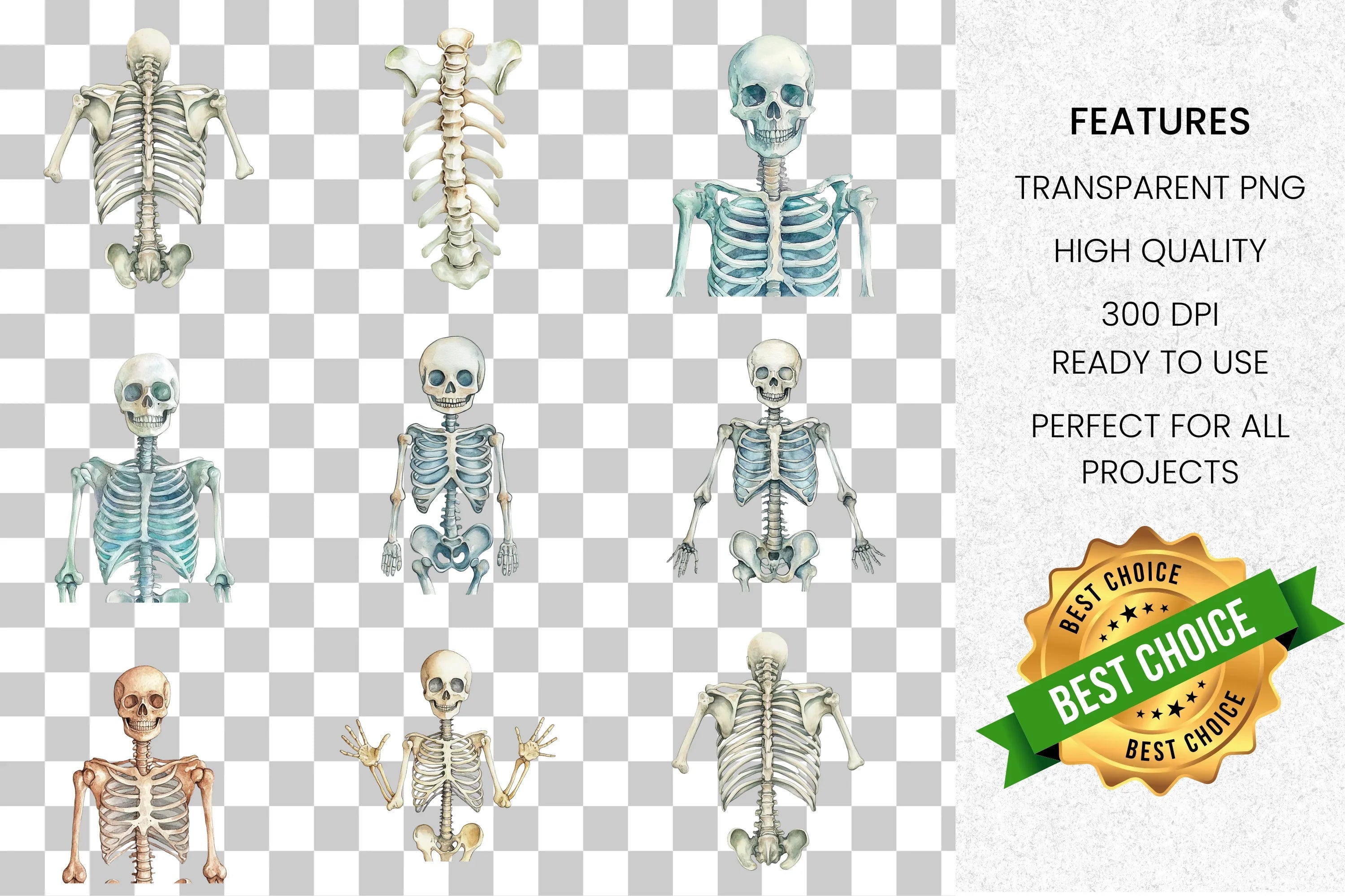 Detailed Human Skeleton Clipart Bundle