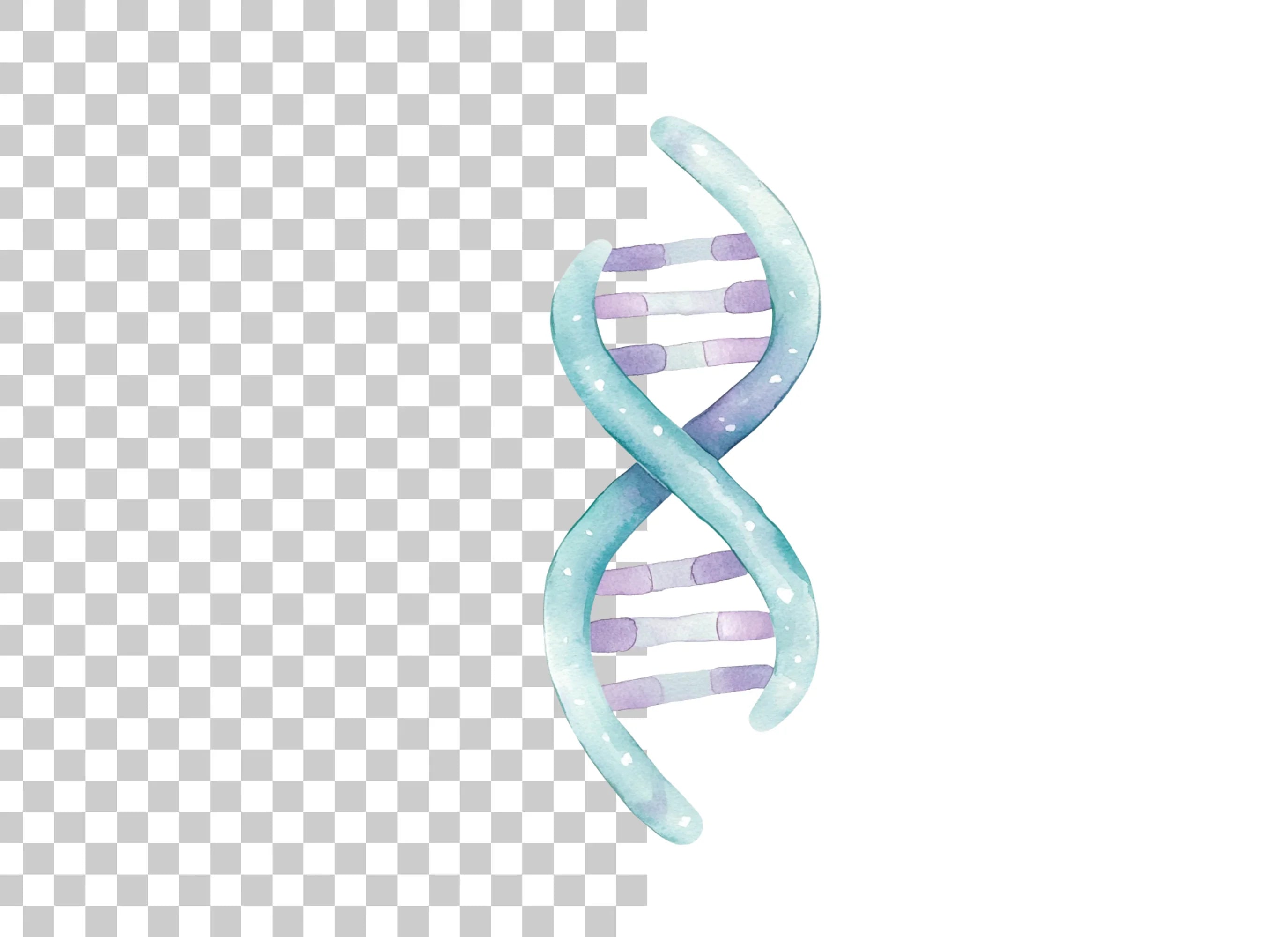 DNA Strands Clipart Bundle