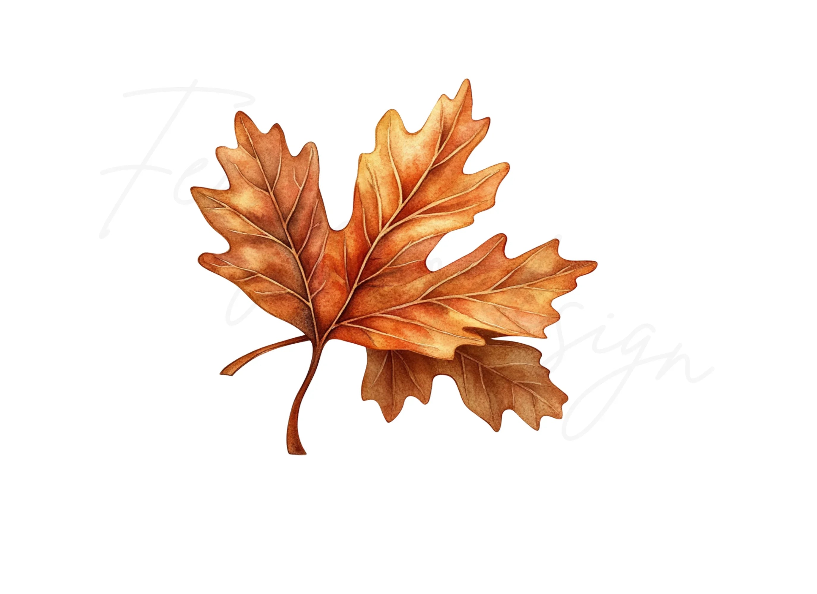 Autumn Leaves Clipart Bundle