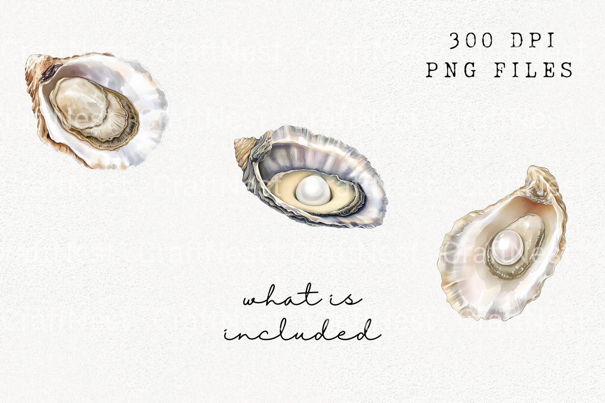 Pearl Oyster Shells Designs Clipart Bundle