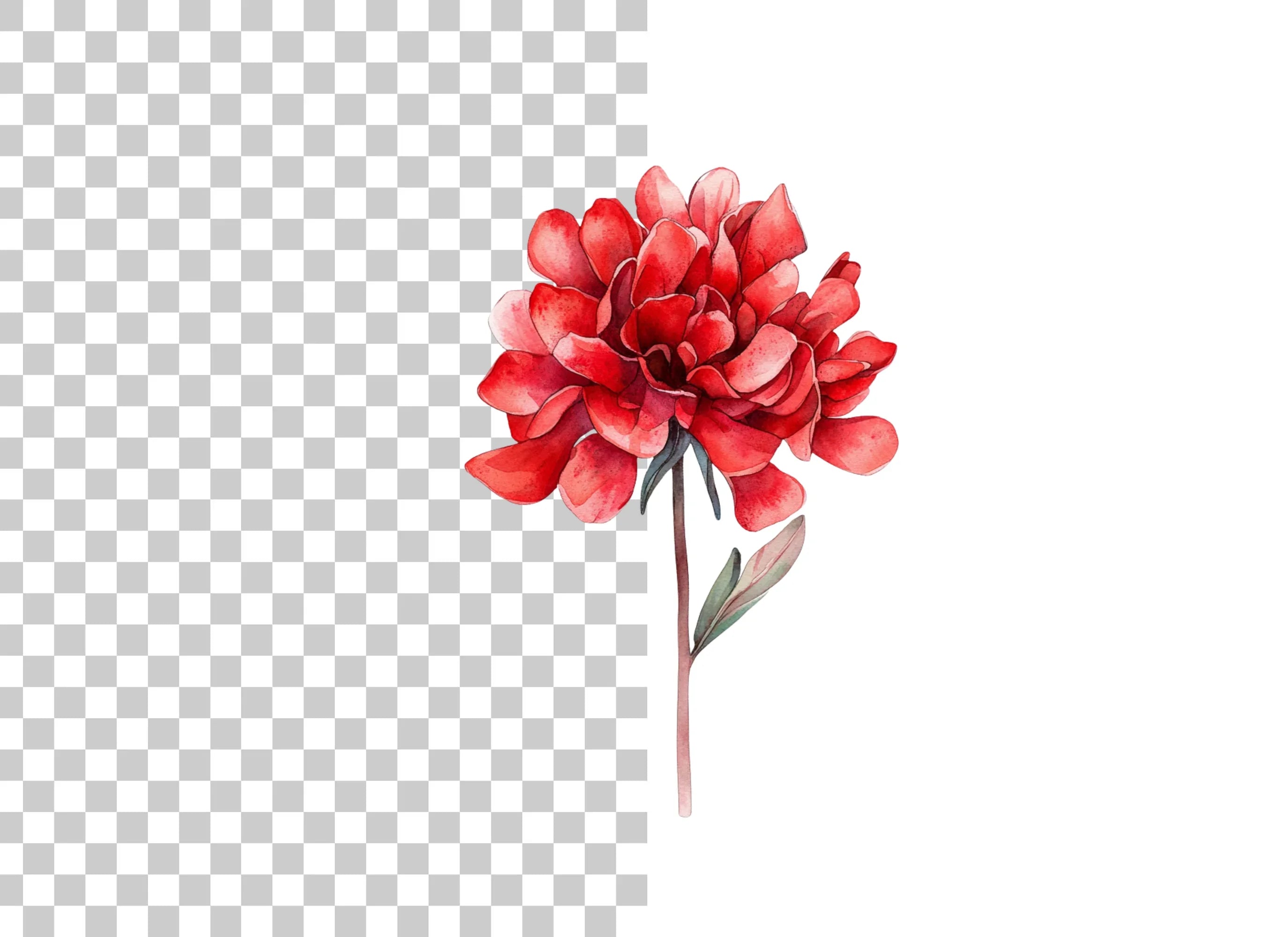 Vibrant Red Peony Clipart Bundle