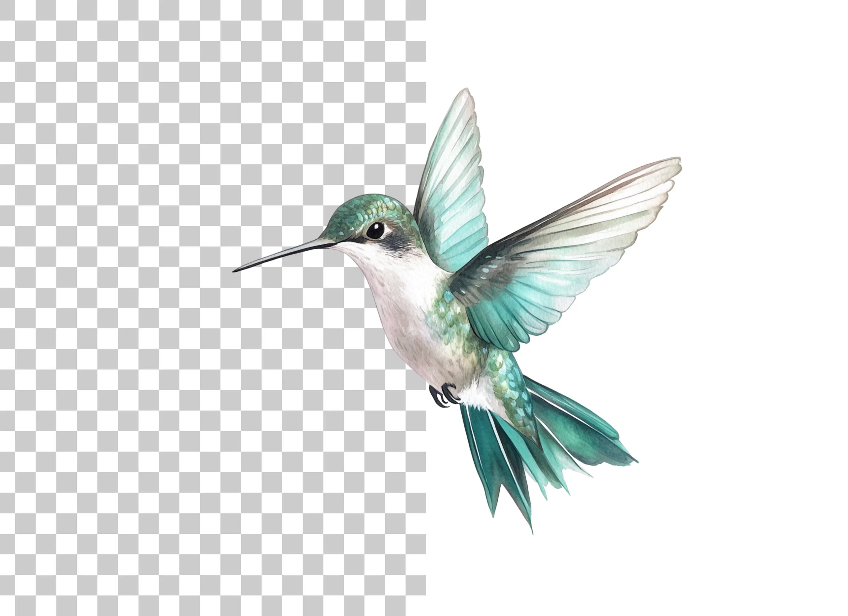 Elegant Flying Hummingbird Clipart Bundle