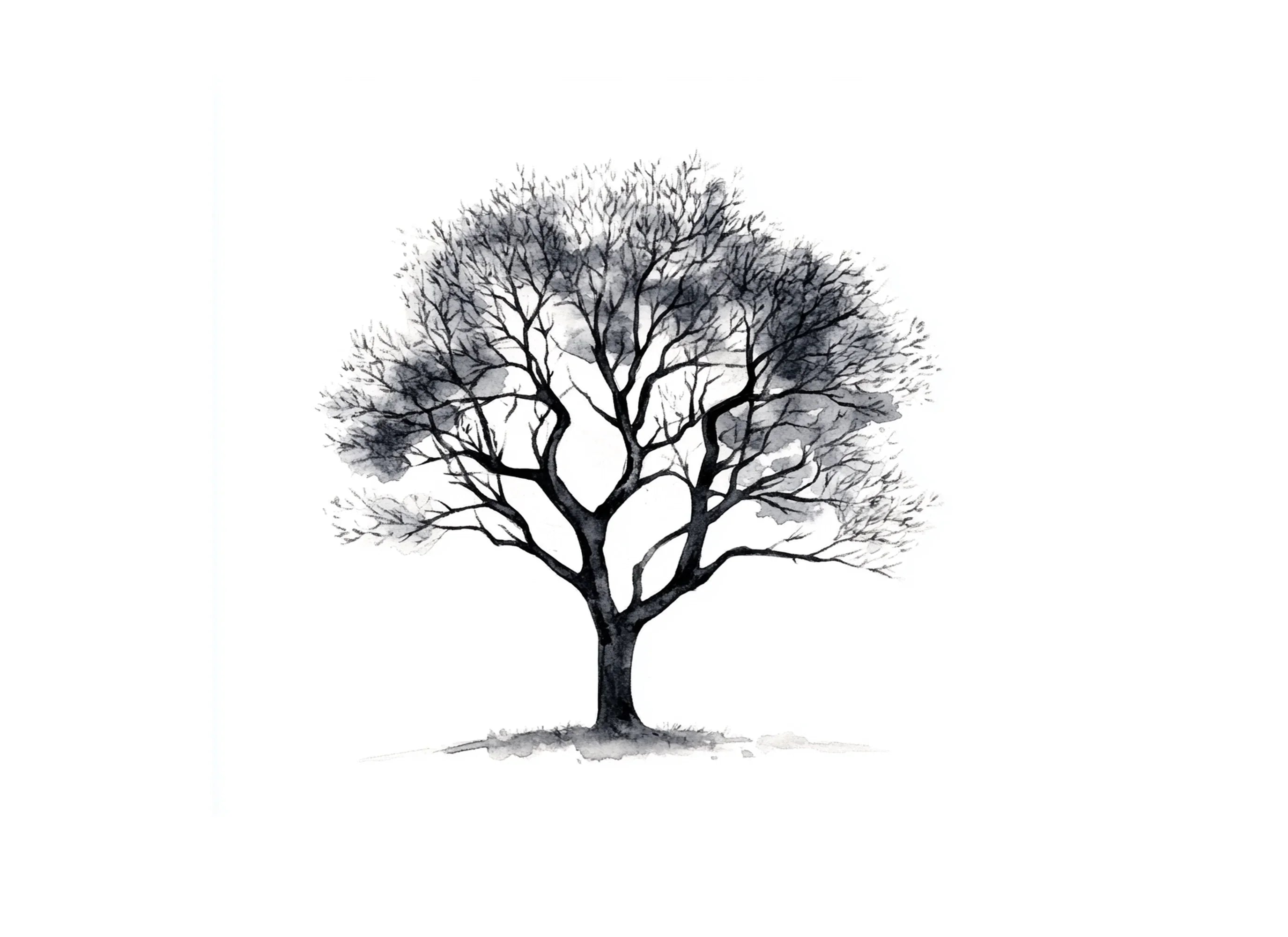 Tree Clipart Bundle