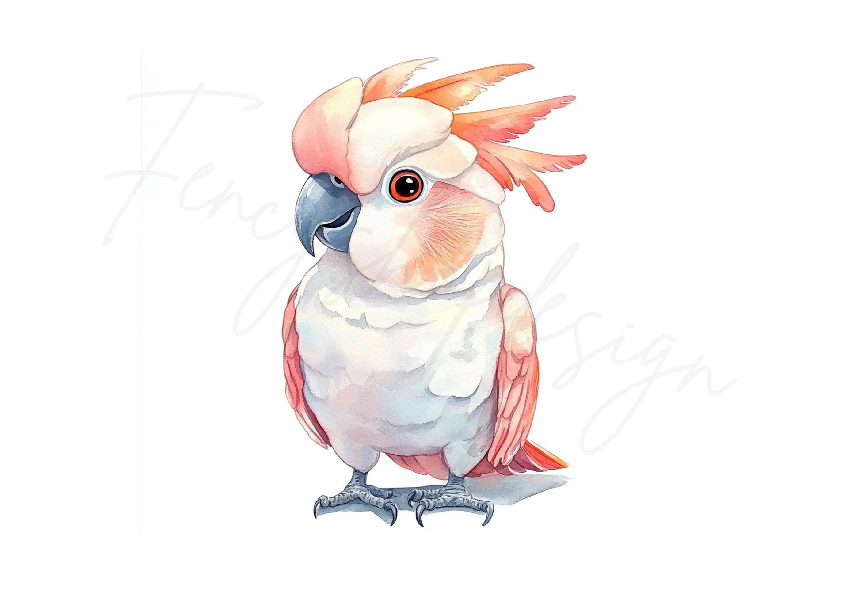 Cute Pink Cockatoo Clipart Bundle