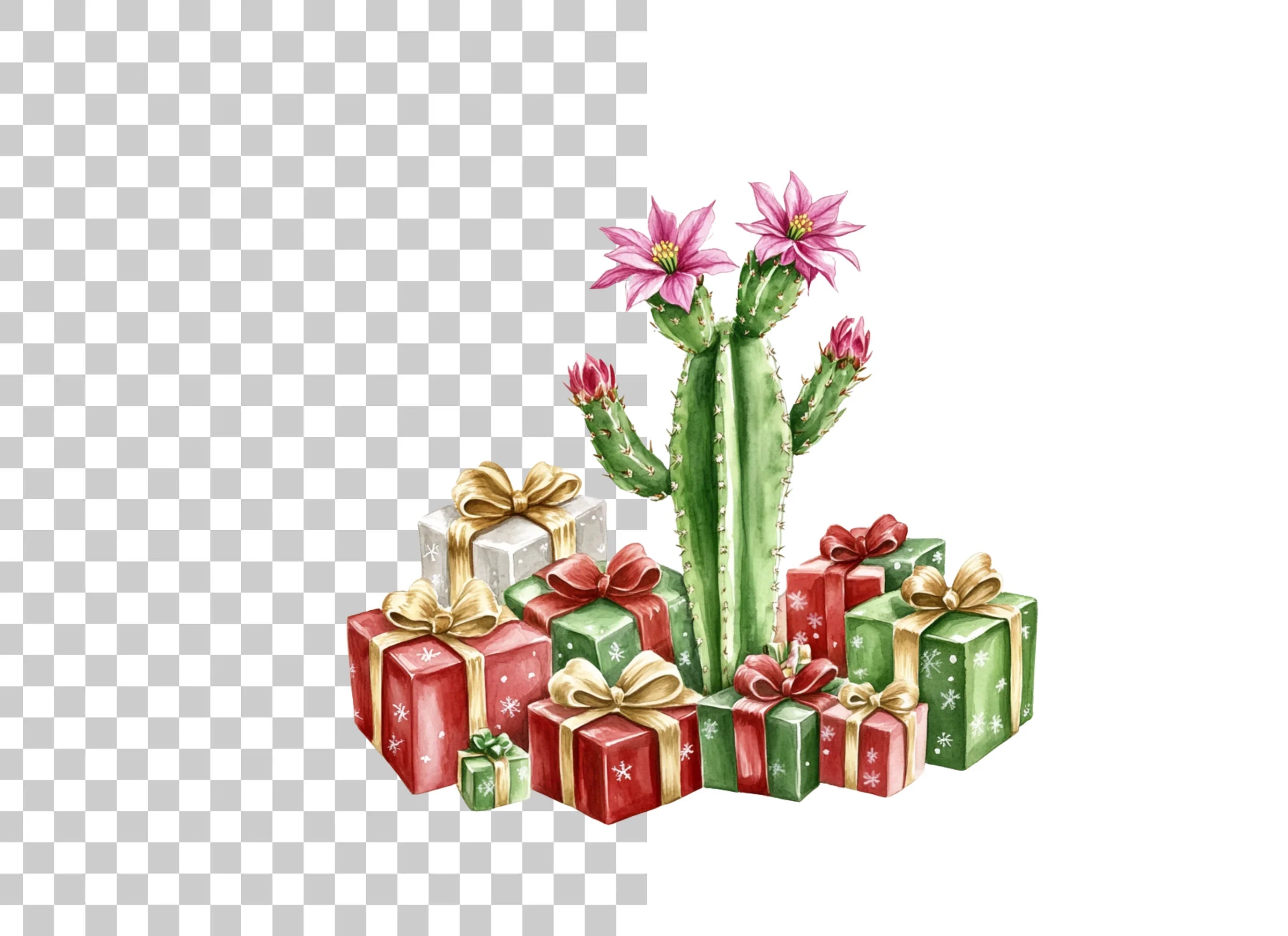 Christmas Cactus with Gifts Clipart Bundle