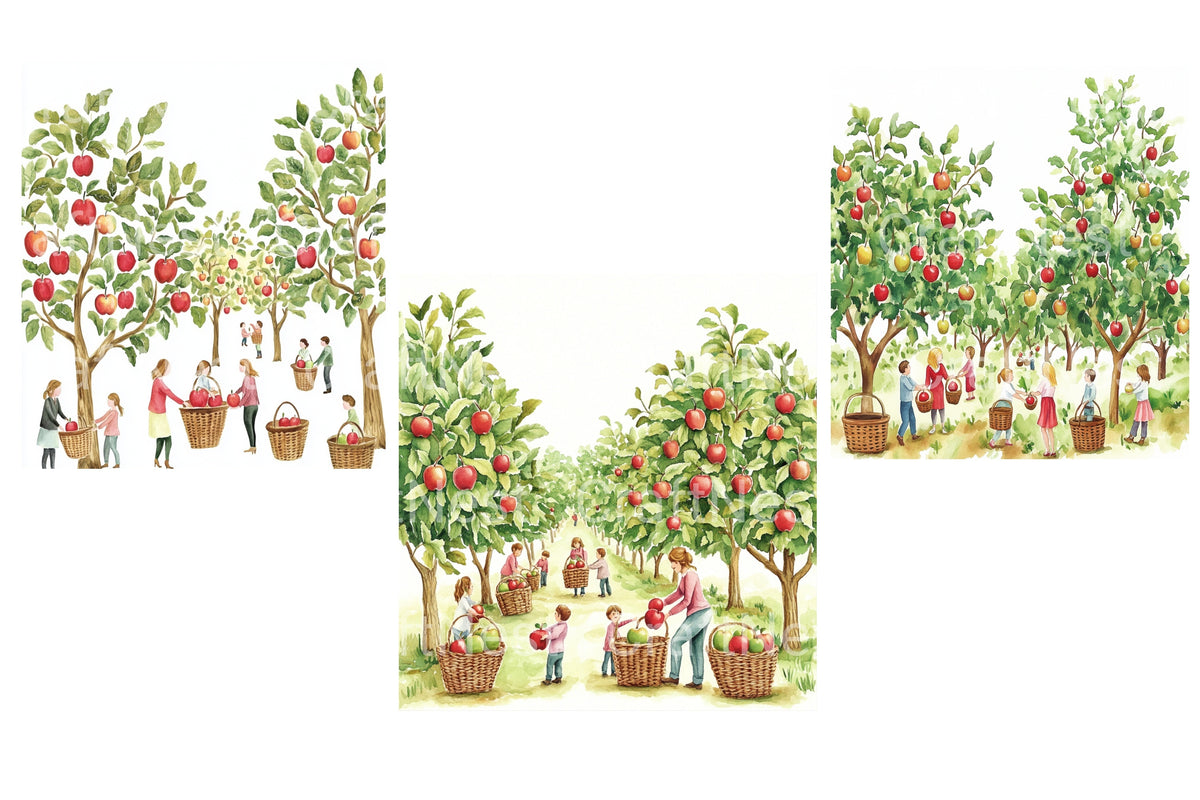 People Harvesting Apples In Orchard Clipart Bundle