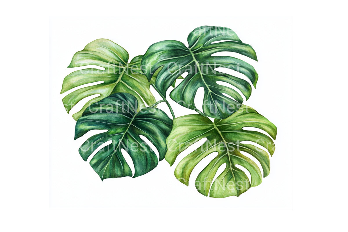 Monstera And Tropical Leaves Clipart Bundle