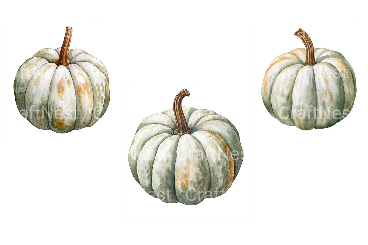 Heirloom White Pumpkin Clipart Bundle
