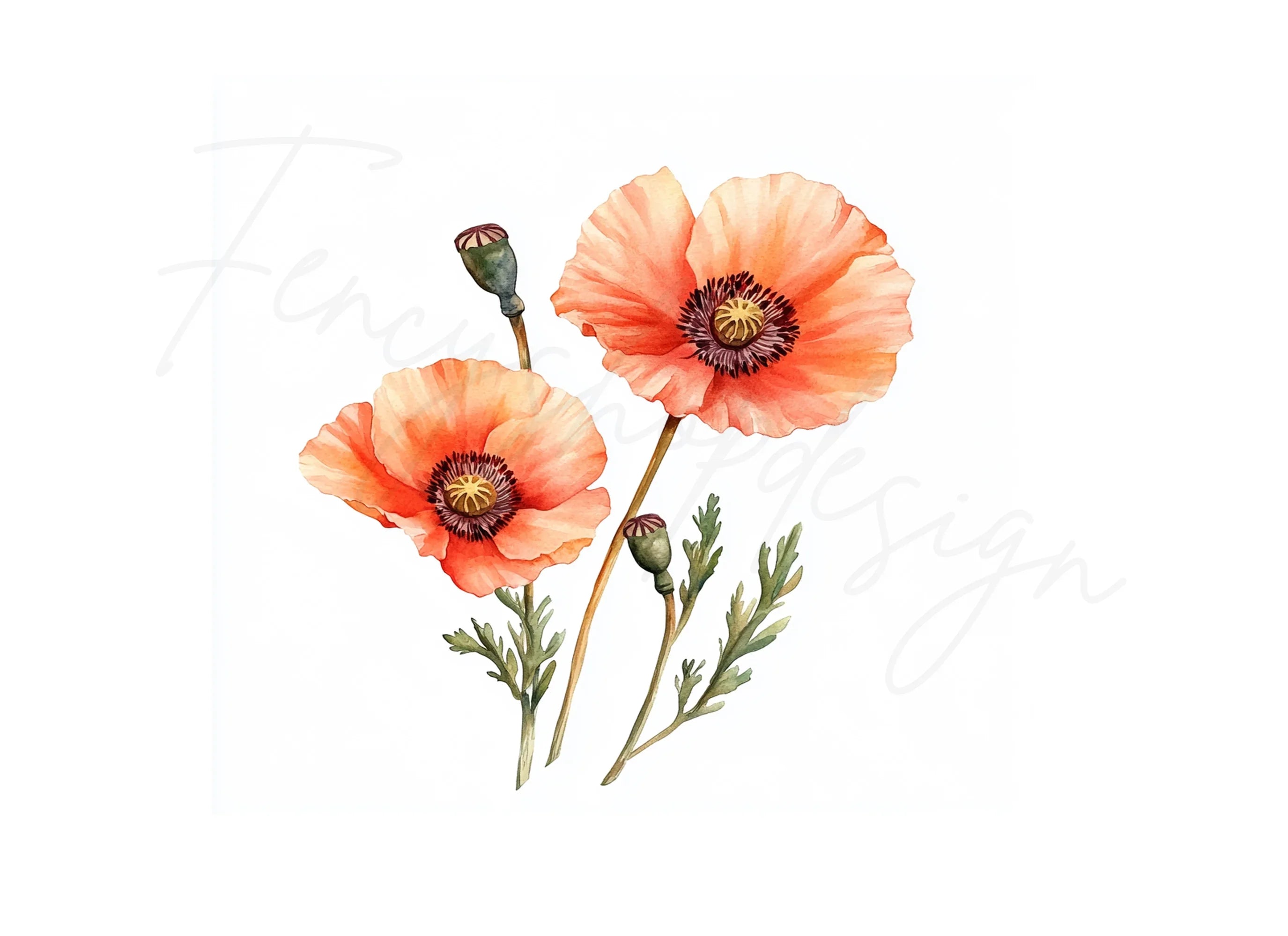 Vibrant Poppy Field Clipart Bundle