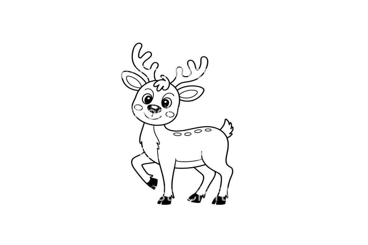 Cute Reindeer Christmas Coloring Books