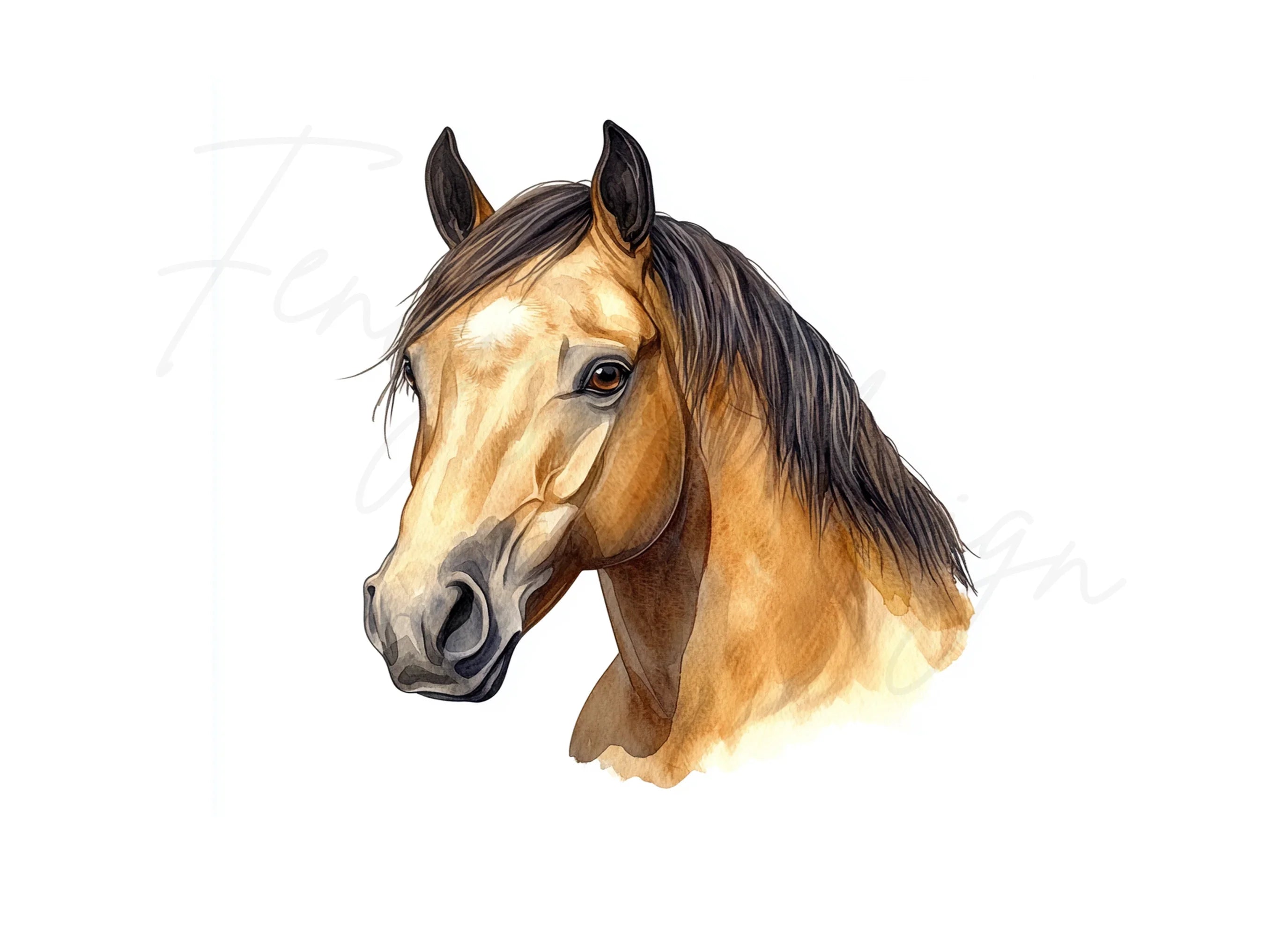 Horse Head Clipart Bundle