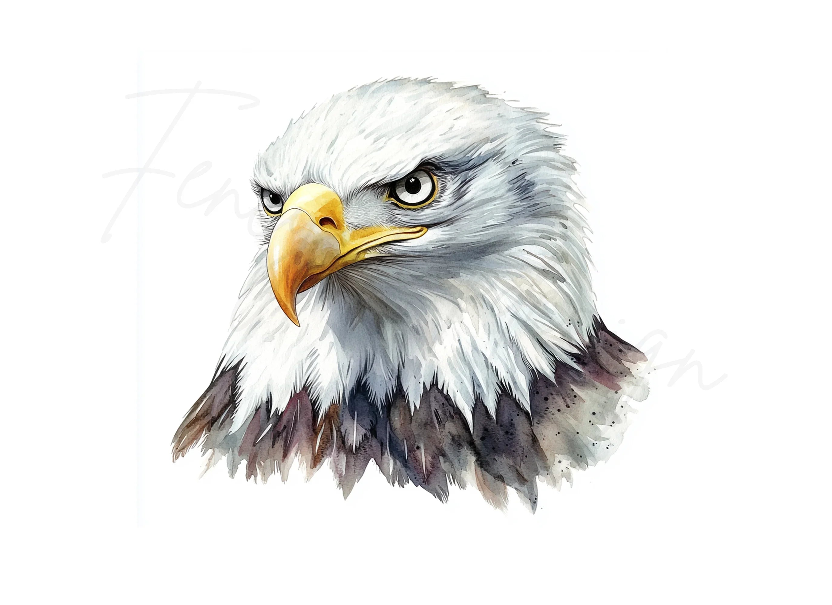 Dynamic Eagle Head Clipart Bundle