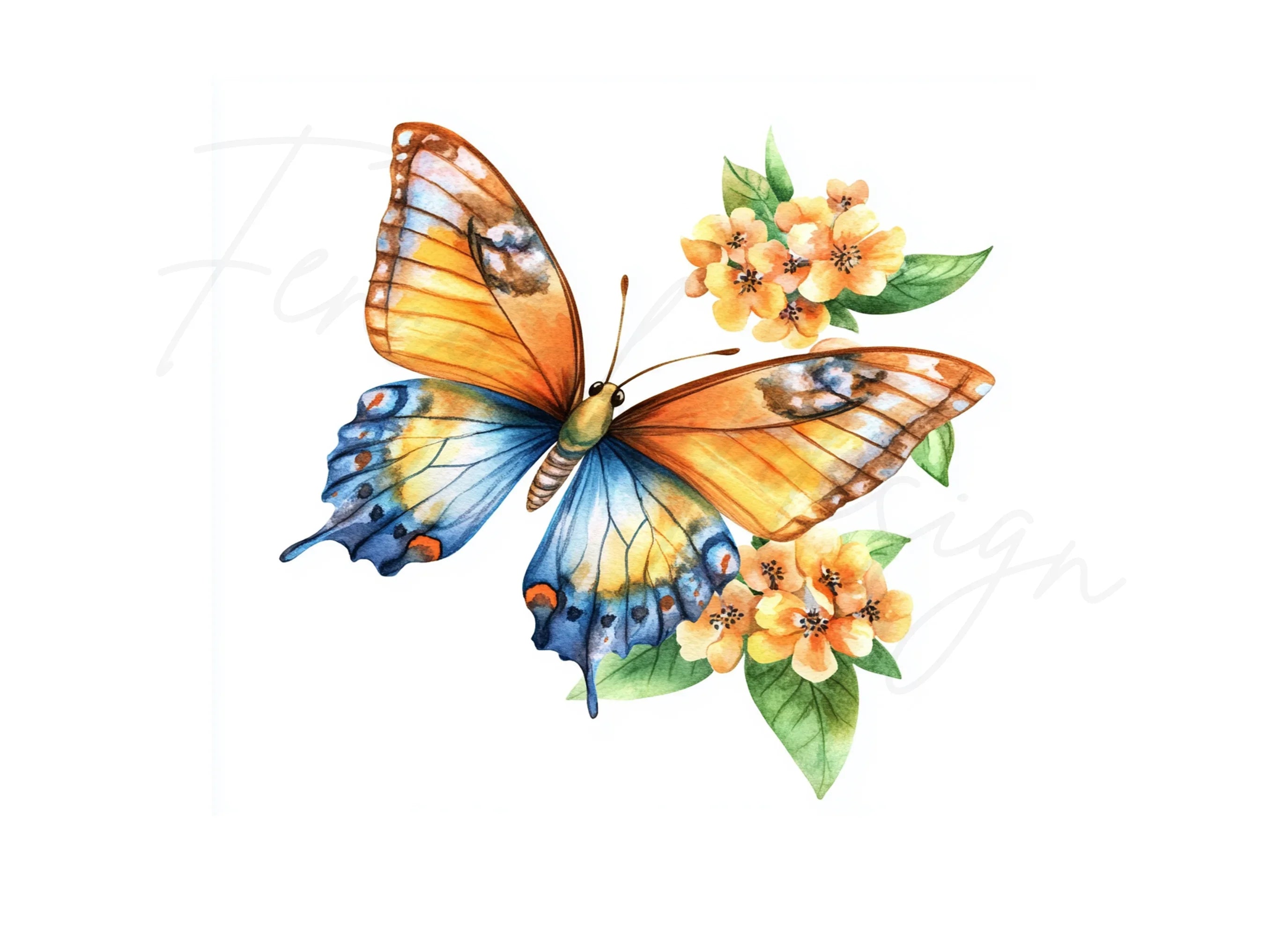 Butterfly Clipart Bundle