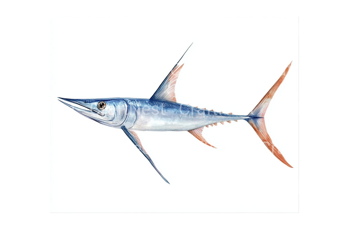 Marlin Fish Clipart Bundle