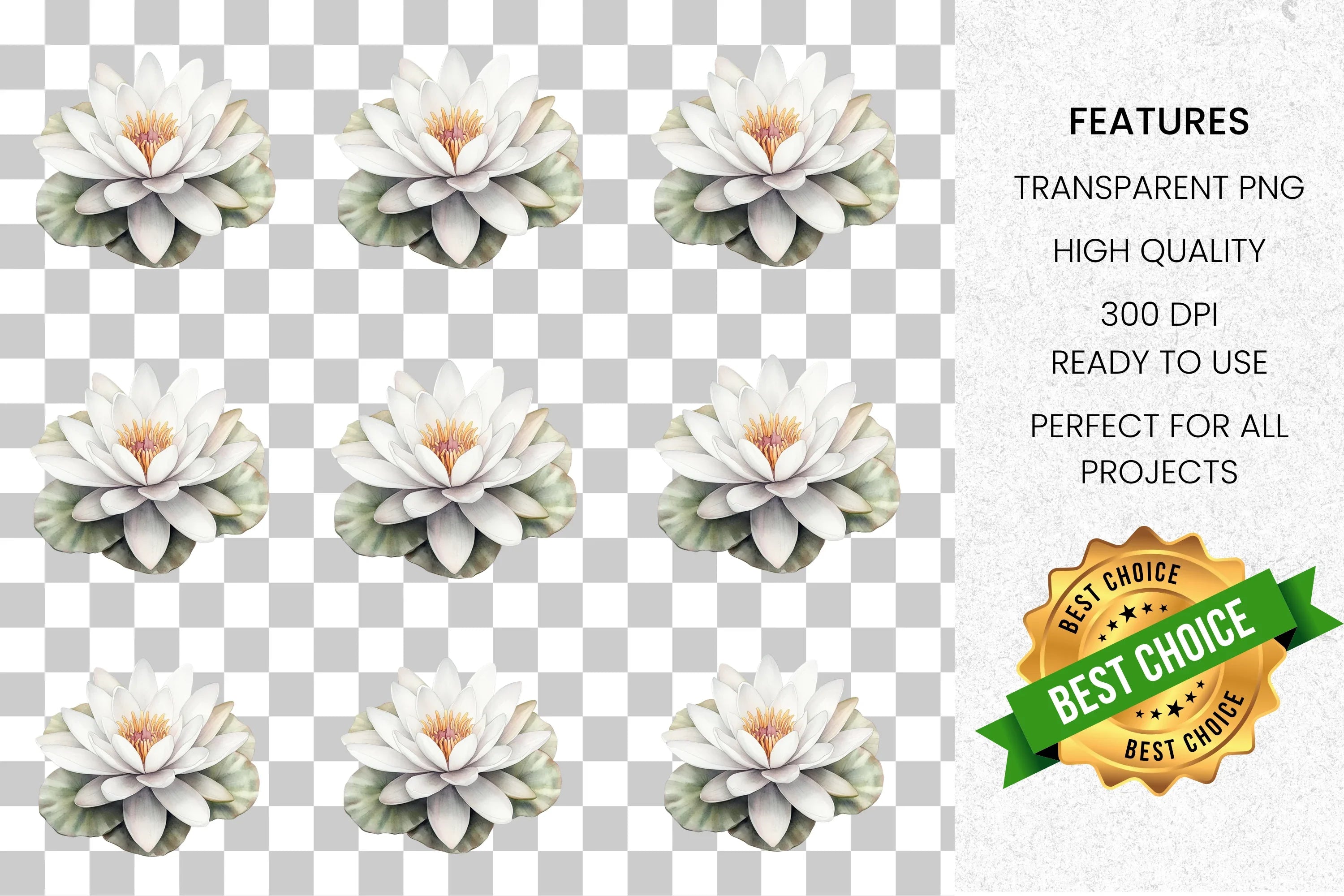 Elegant White Water Lily Clipart Bundle