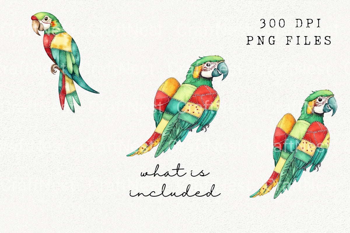 Patchwork Parrot Clipart Bundle