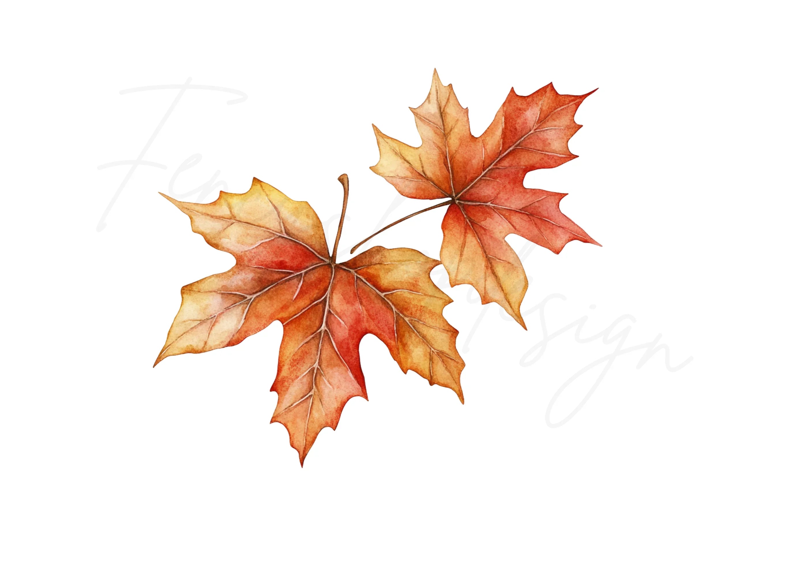 Autumn Maple Leaves Clipart Bundle