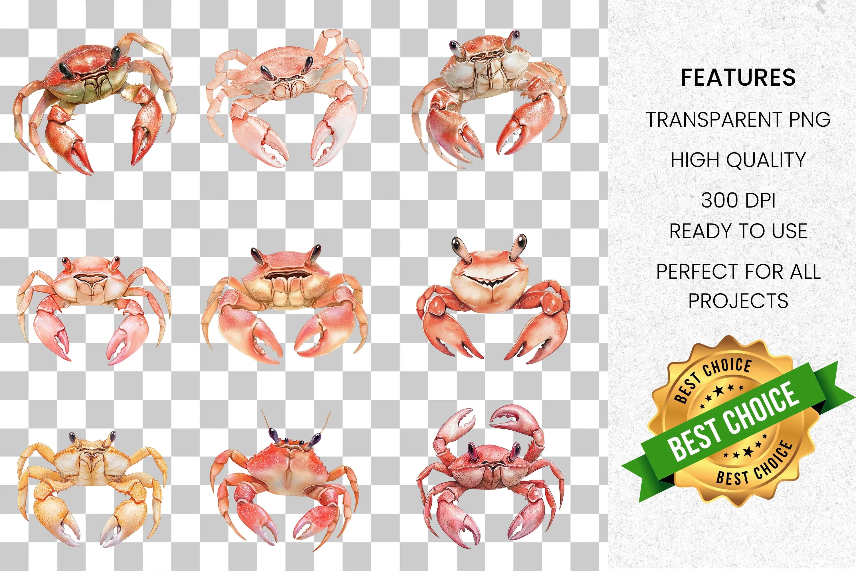 Ocean Crab Clipart Bundle