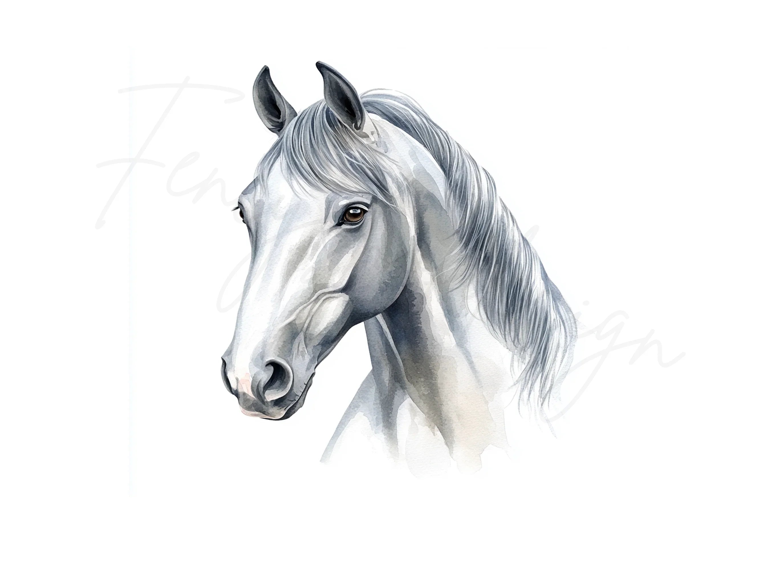 Elegant White Horse Clipart Bundle