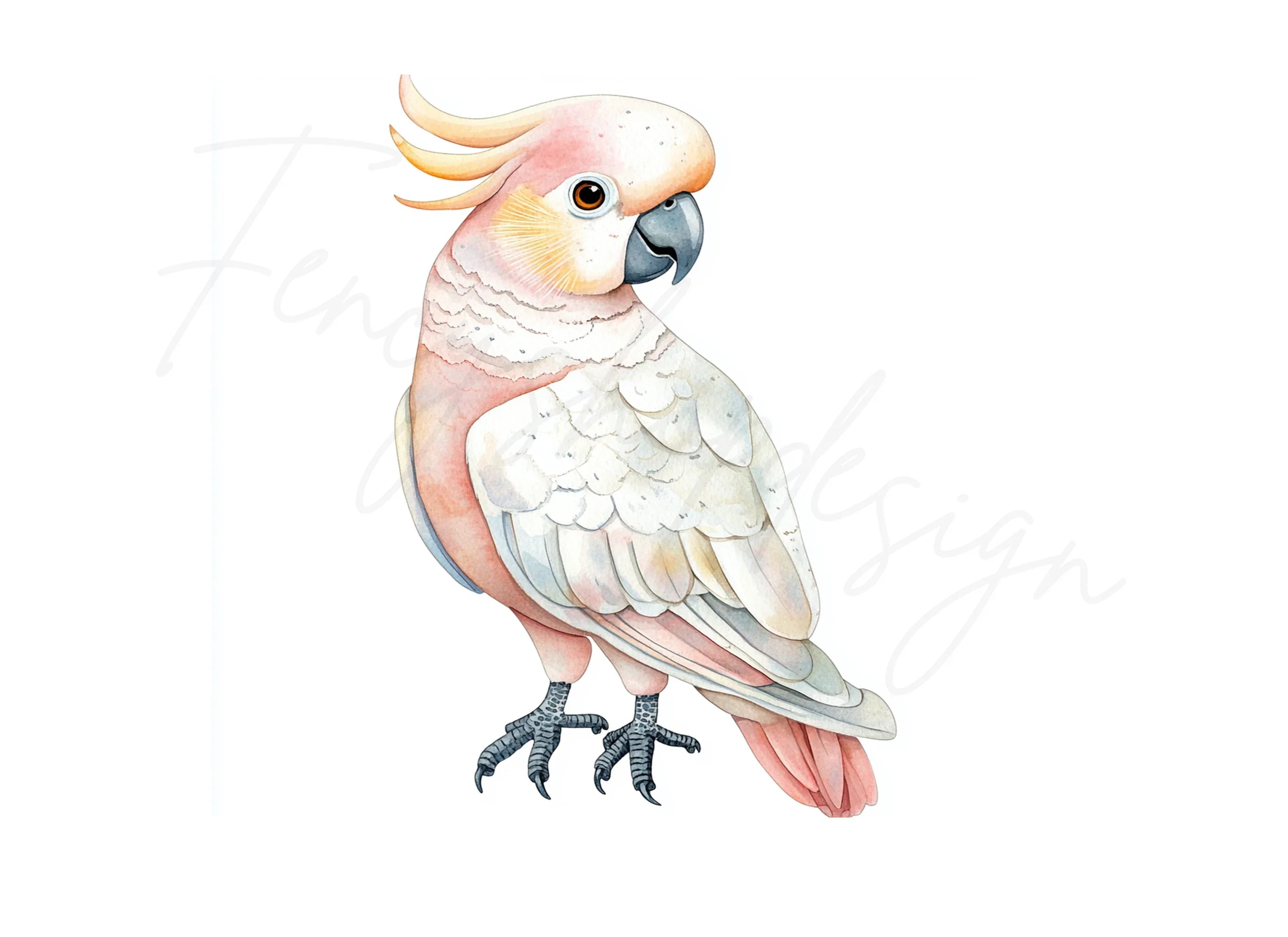 Pink and White Cockatoo Clipart Bundle