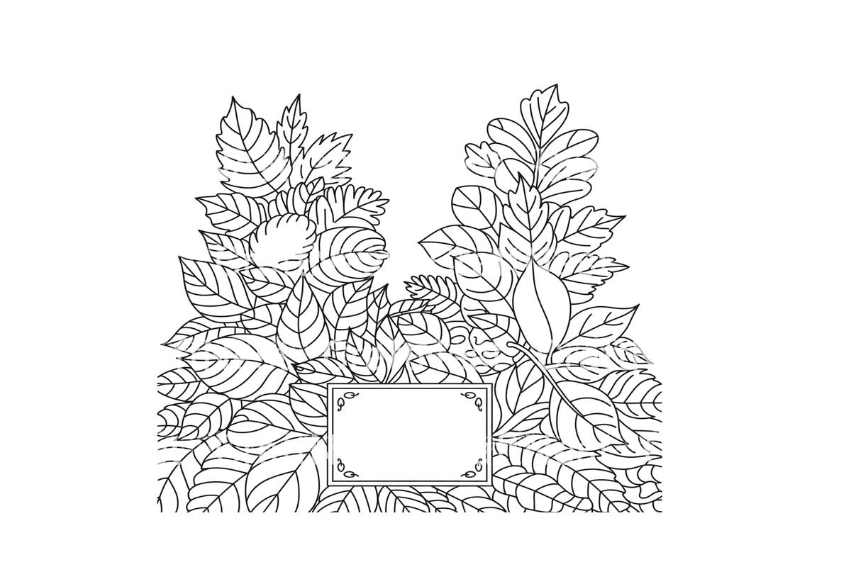 Leafy Frames Coloring Books