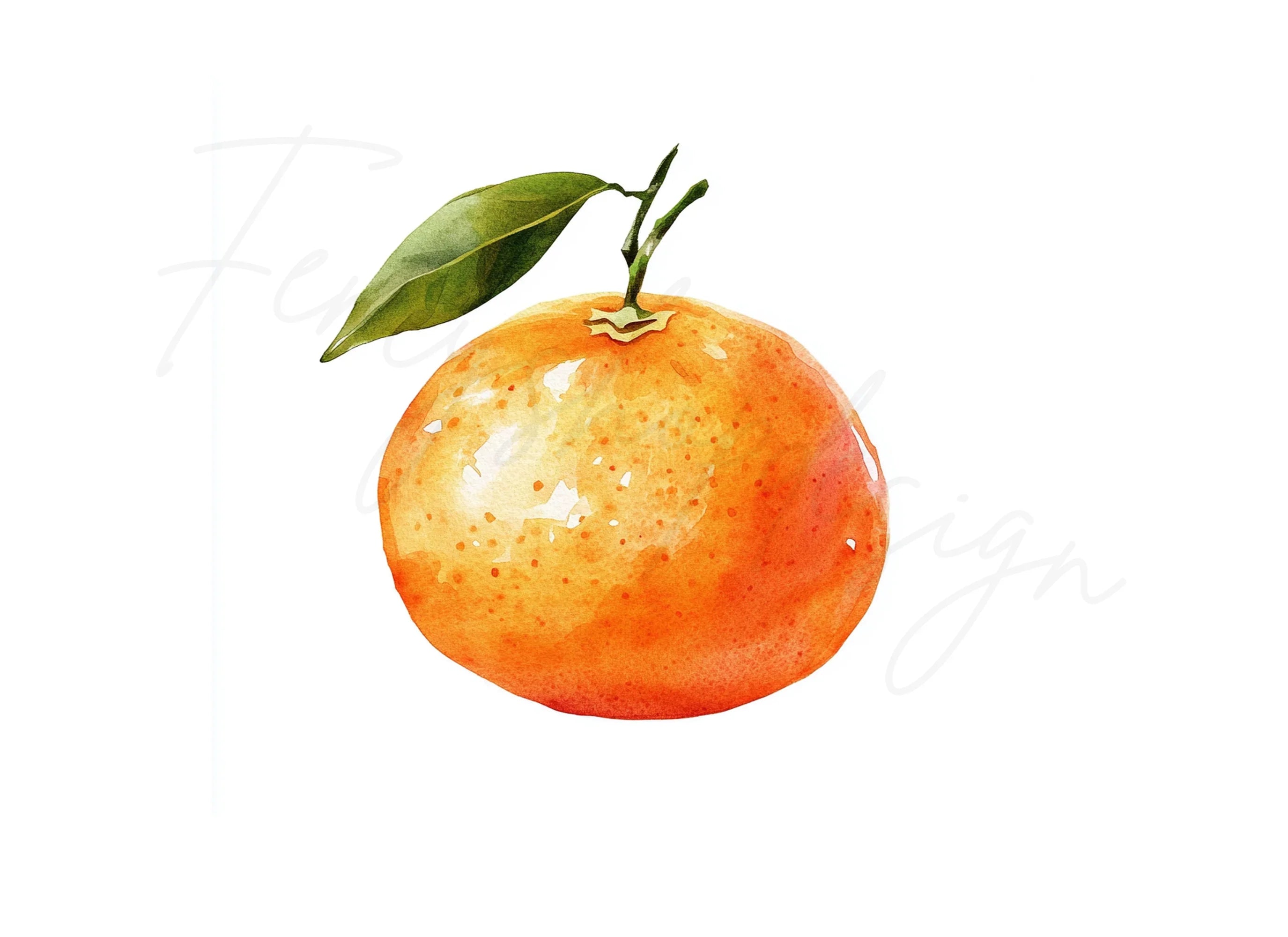 Whole Orange Fruit Clipart Bundle