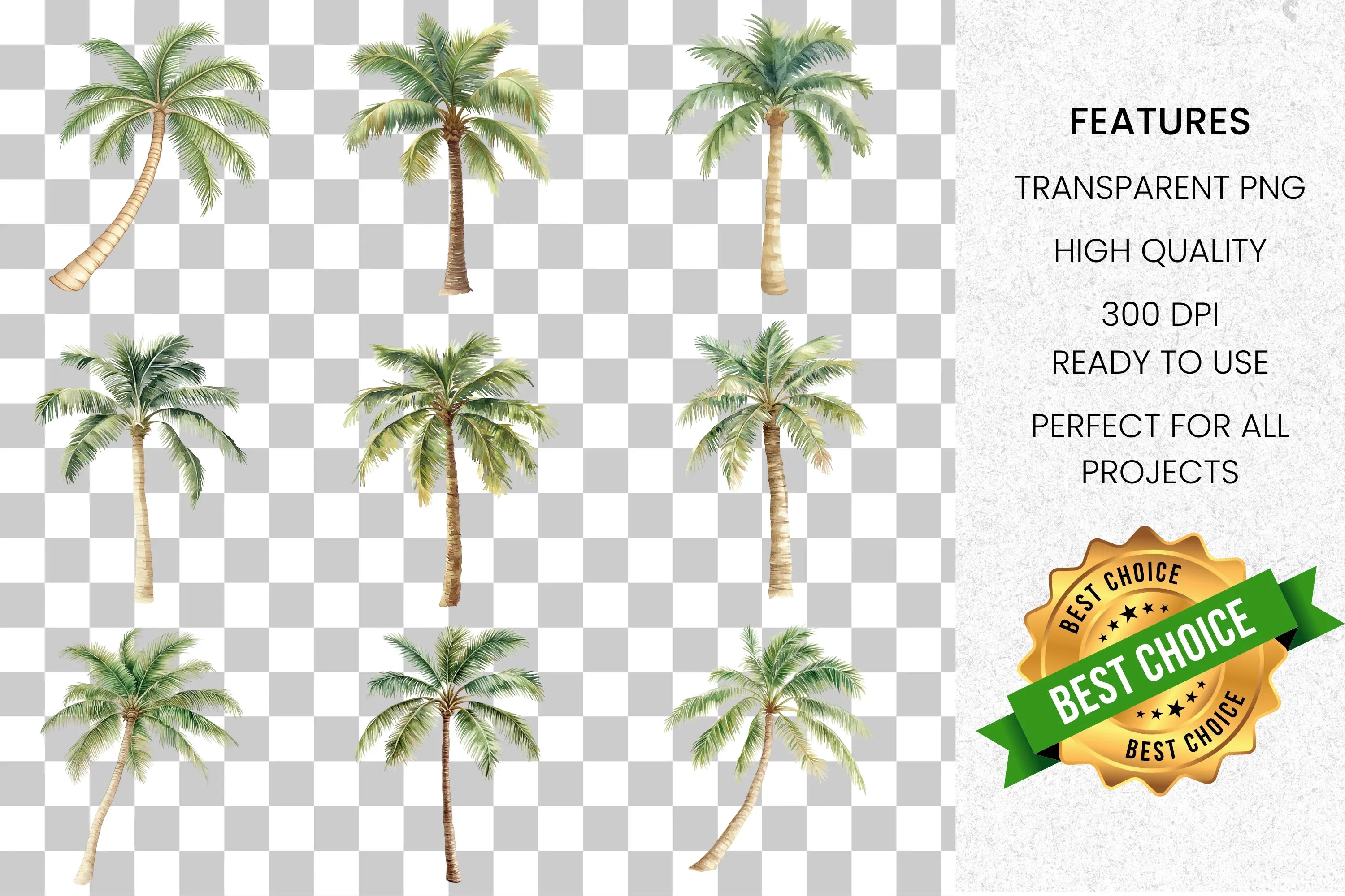 Tropical Palm Tree Clipart Bundle