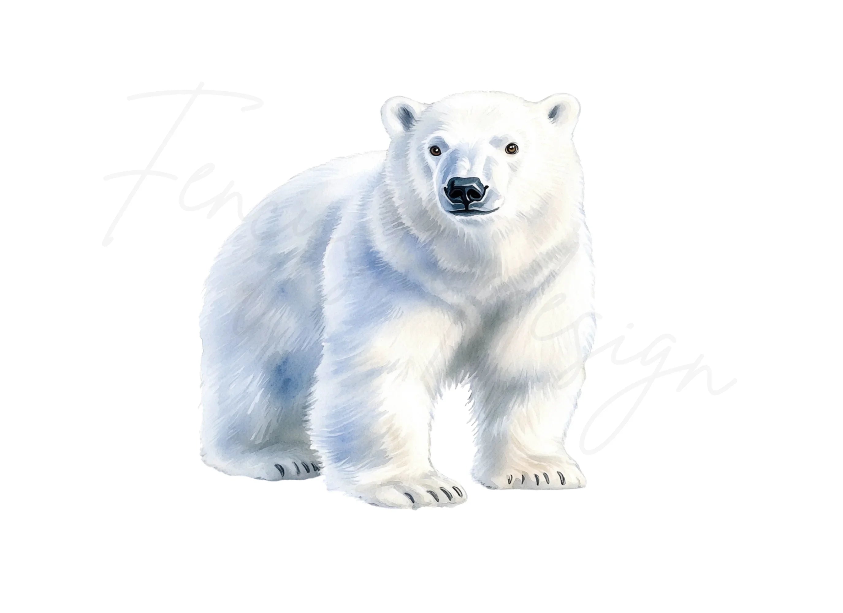 Realistic Standing Polar Bear Clipart Bundle