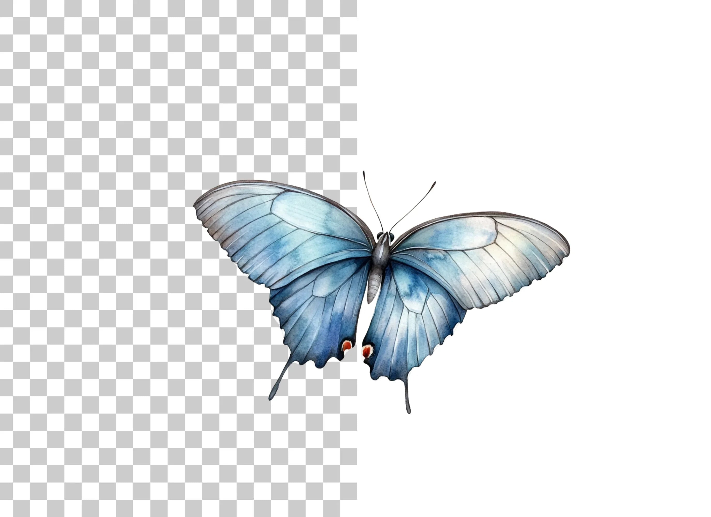 Blue Butterfly Clipart Bundle