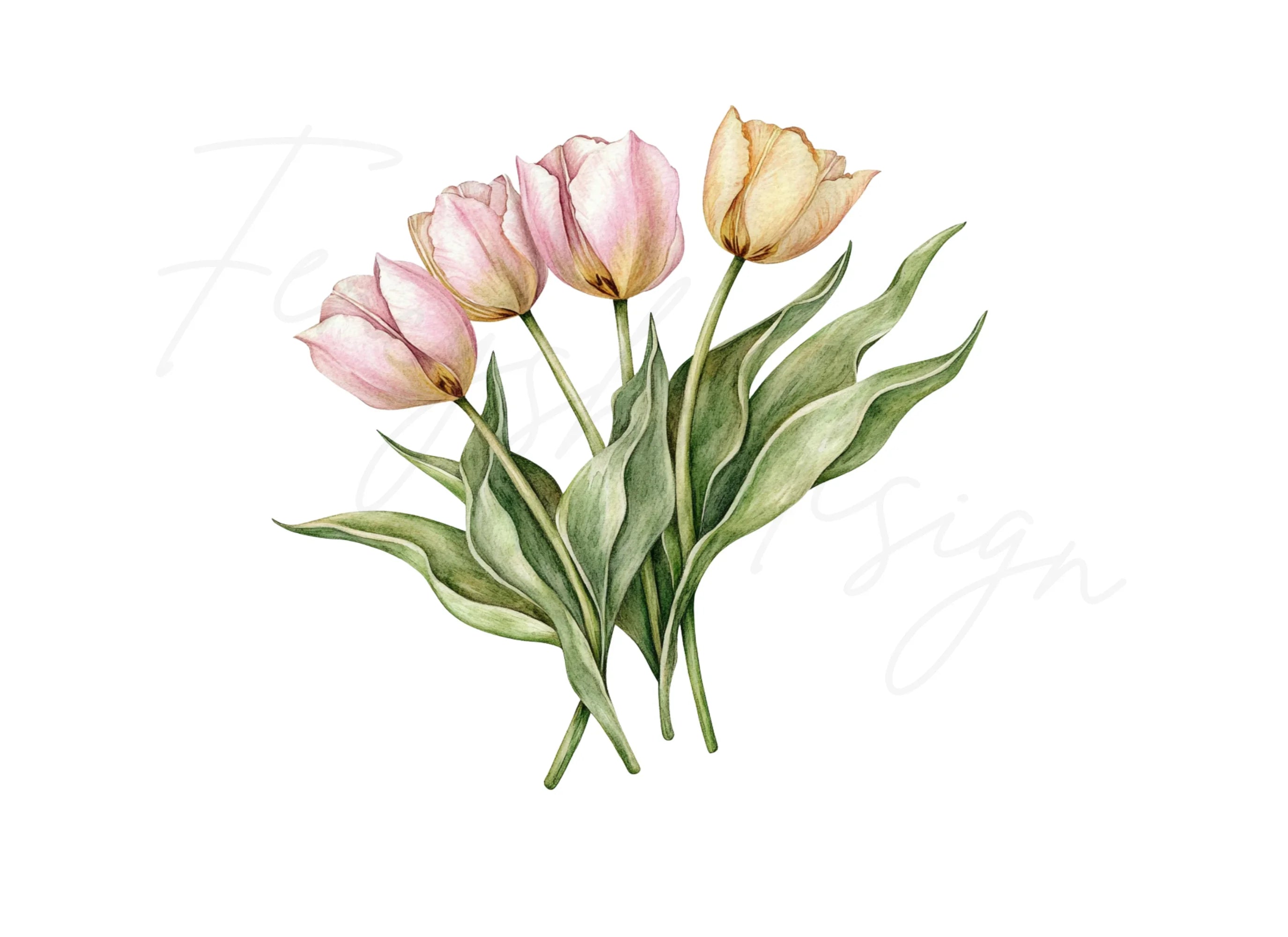 Pink and Yellow Tulip Bouquets Clipart Bundle