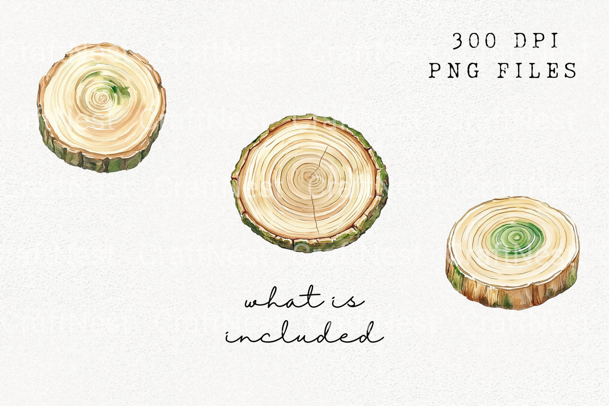 Wood Slice Clipart Bundle