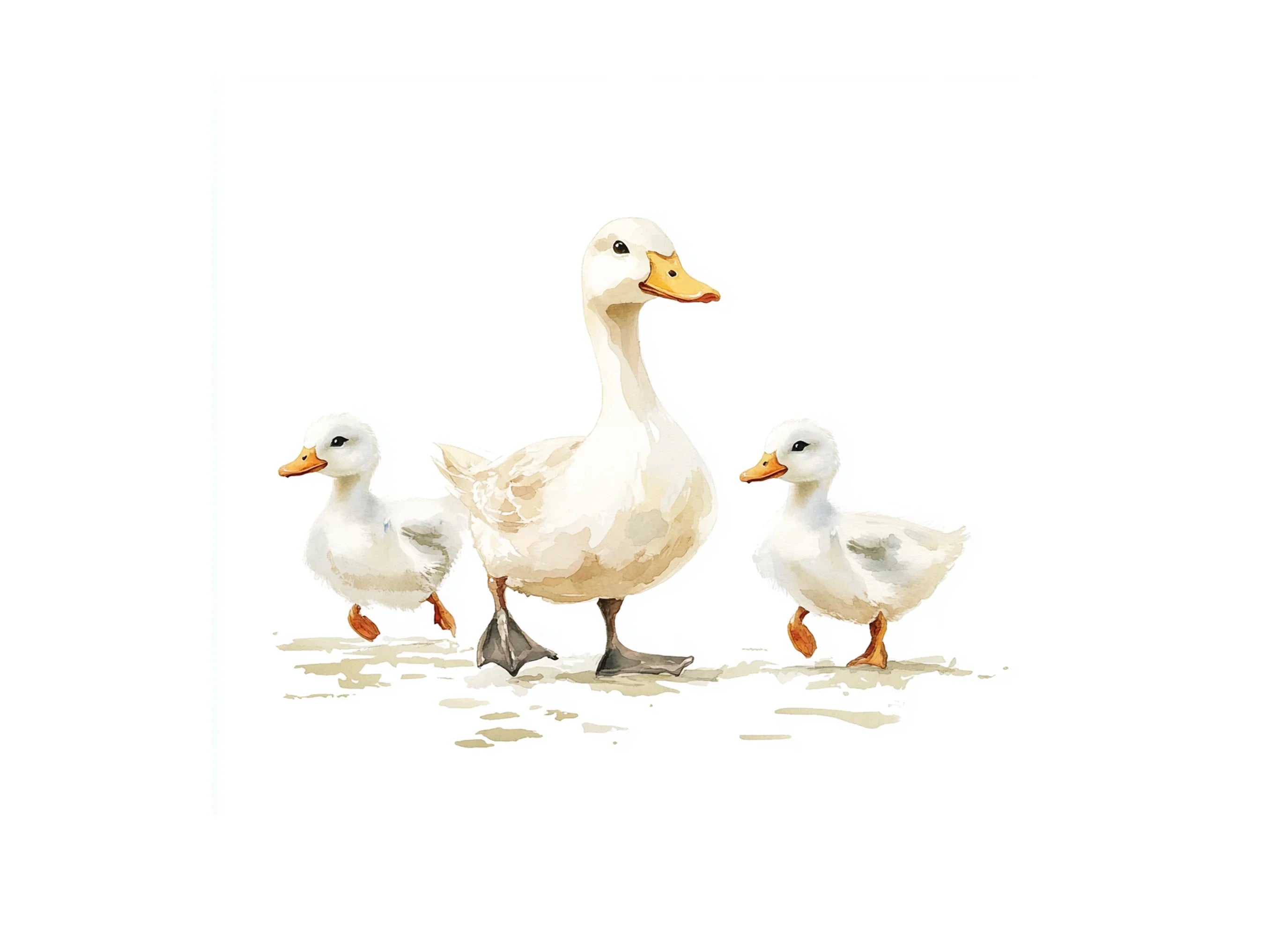 Cute Duck and Ducklings Clipart Bundle