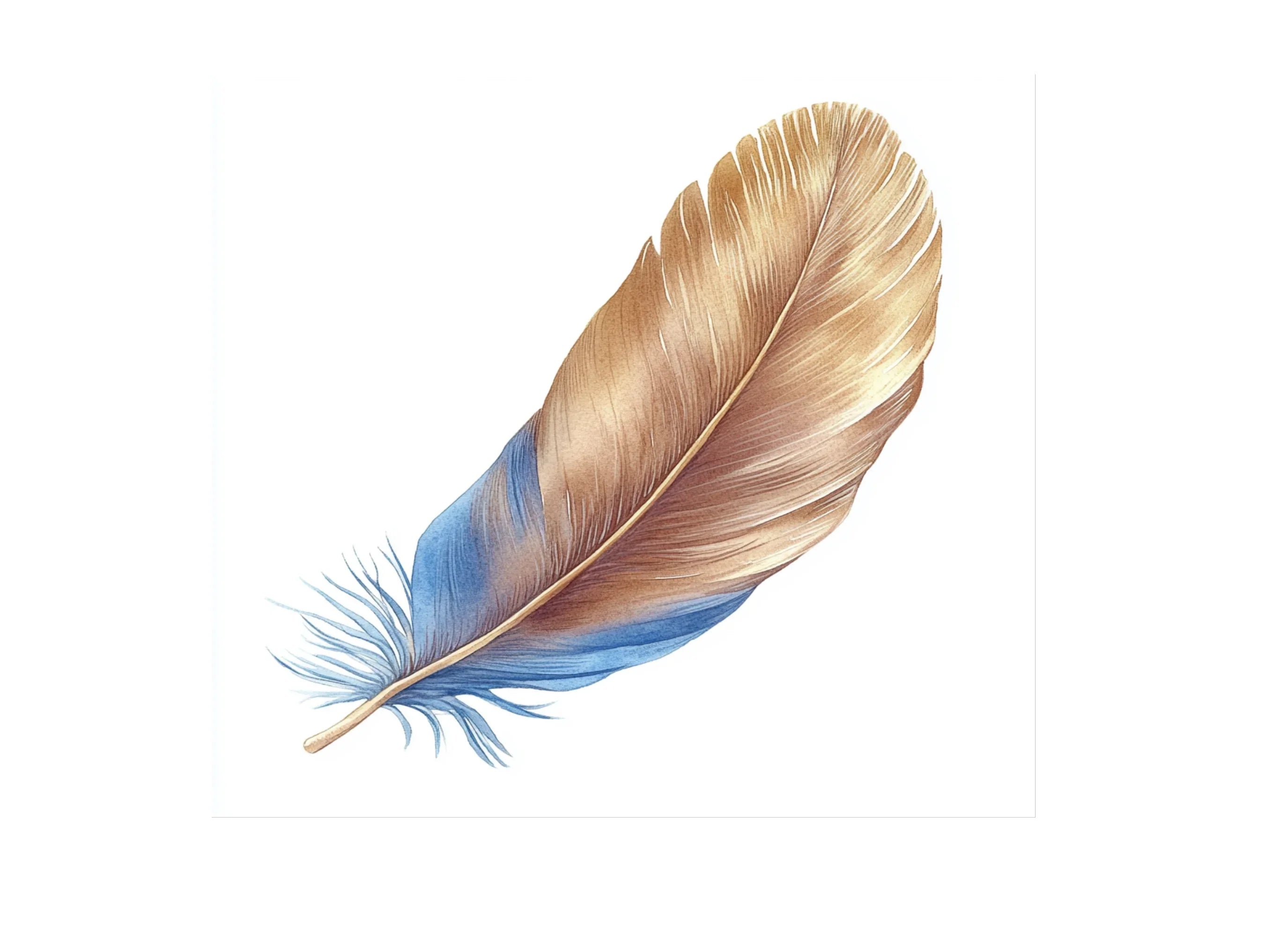 Rustic Feather Clipart Bundle