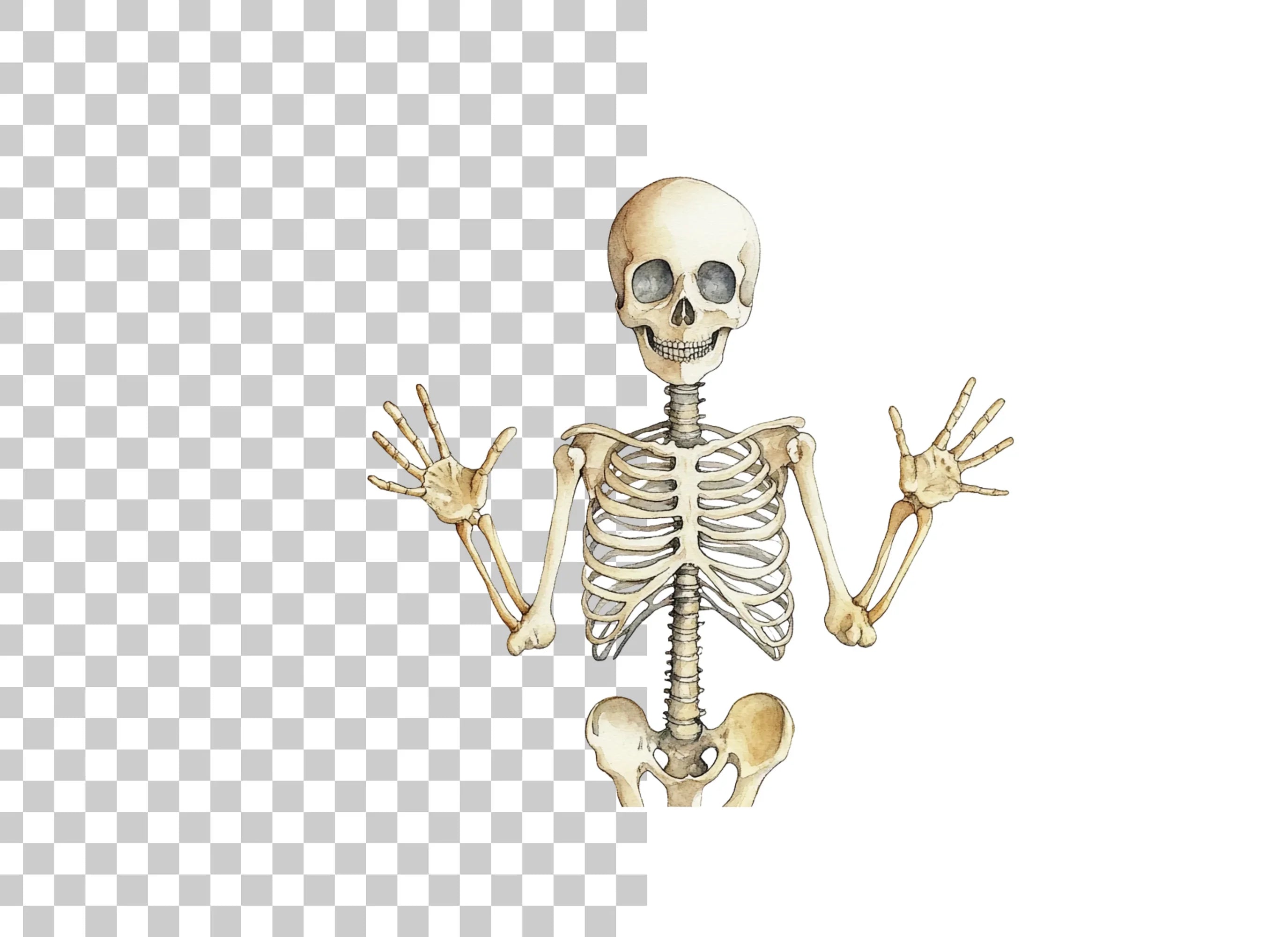 Happy Skeleton Waving Hands Clipart Bundle